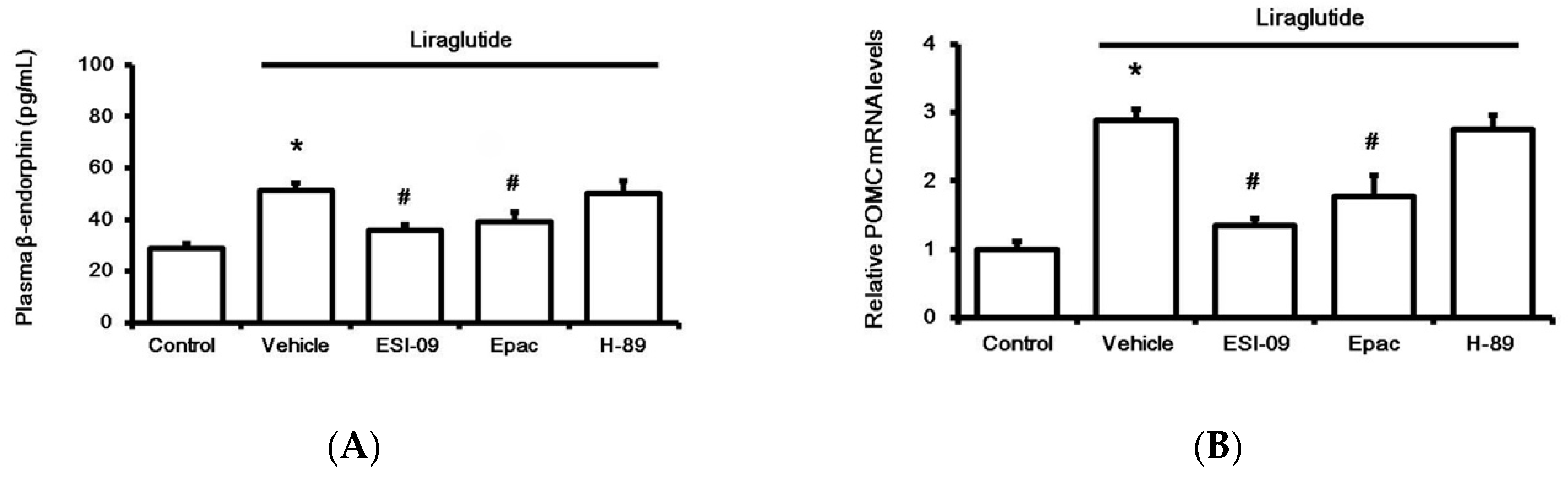 Pharmaceuticals 13 00407 g003