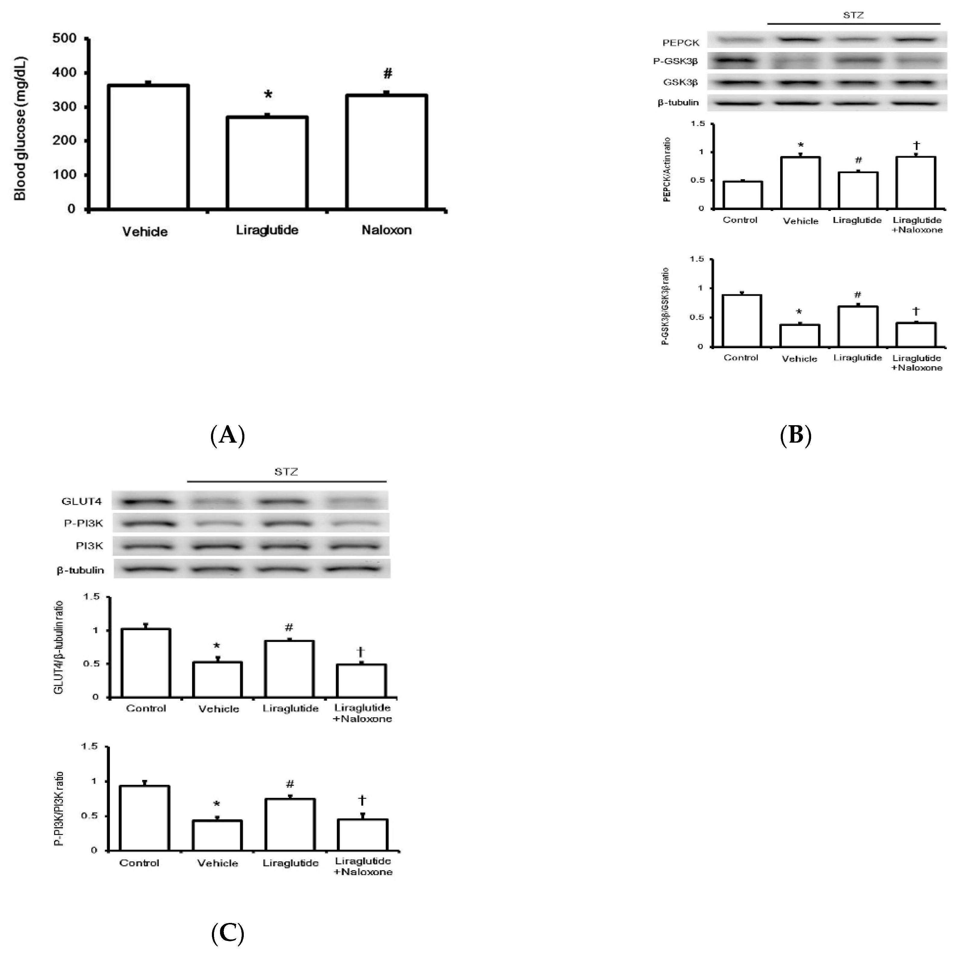 Pharmaceuticals 13 00407 g004