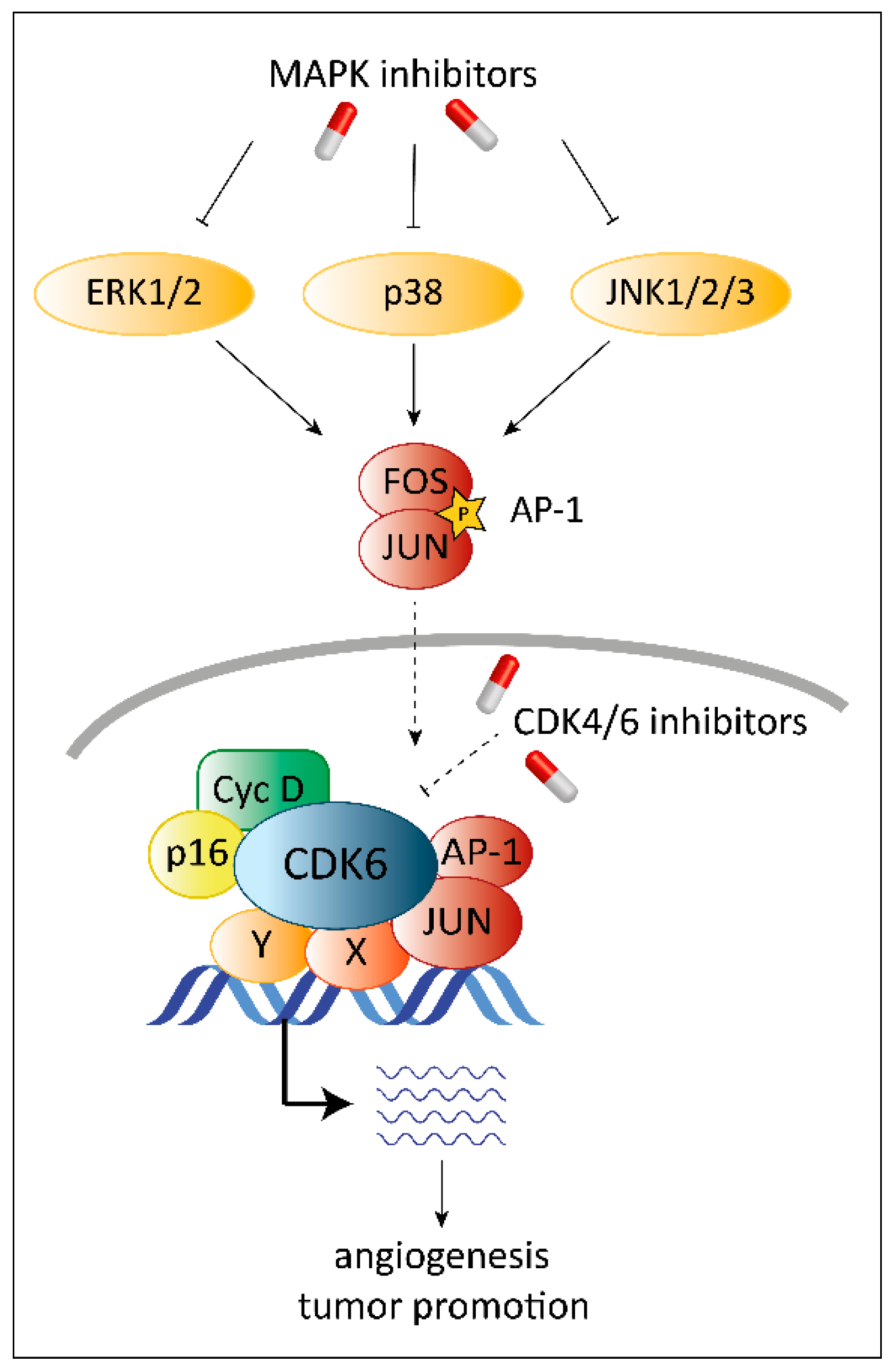 Pharmaceuticals 13 00418 g004