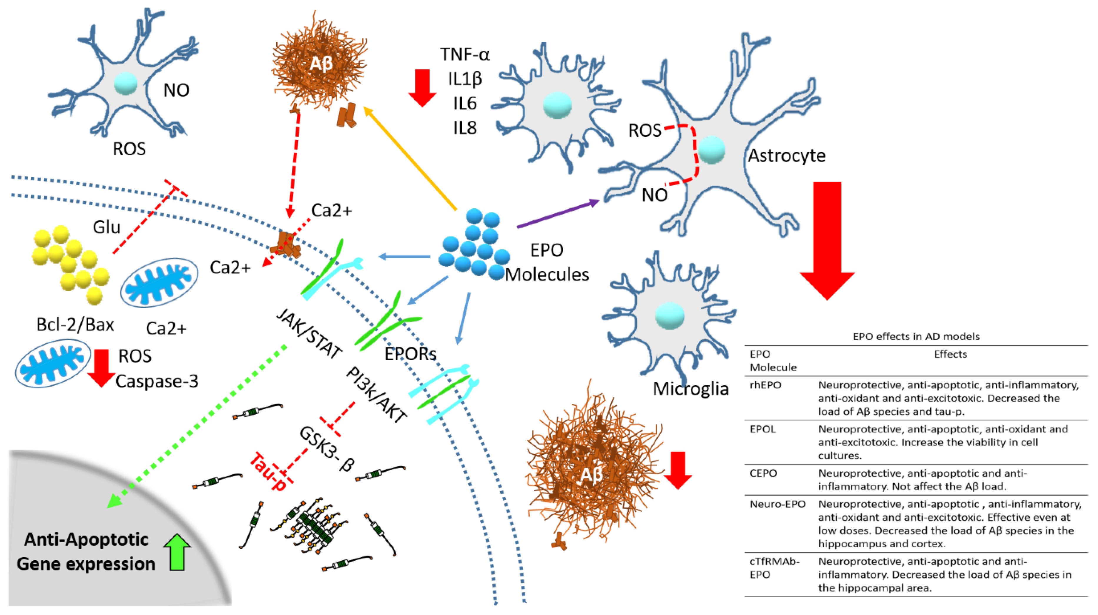 Pharmaceuticals 13 00424 g005