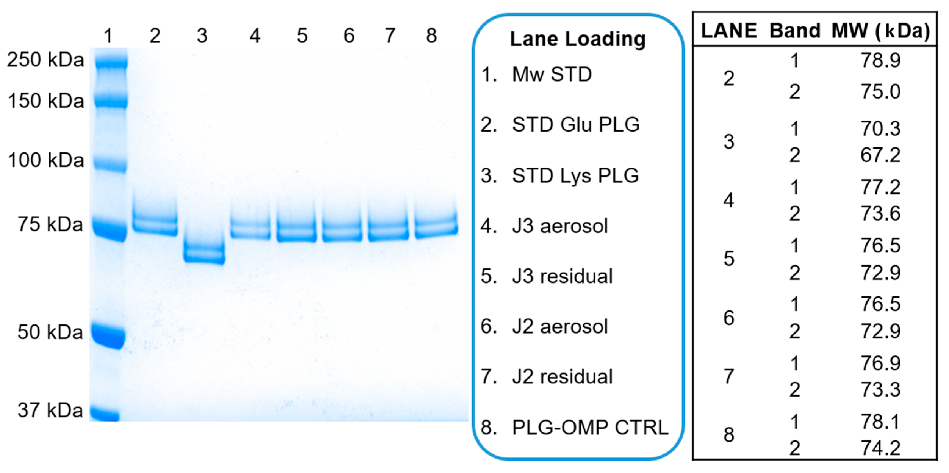 Pharmaceuticals 13 00425 g001