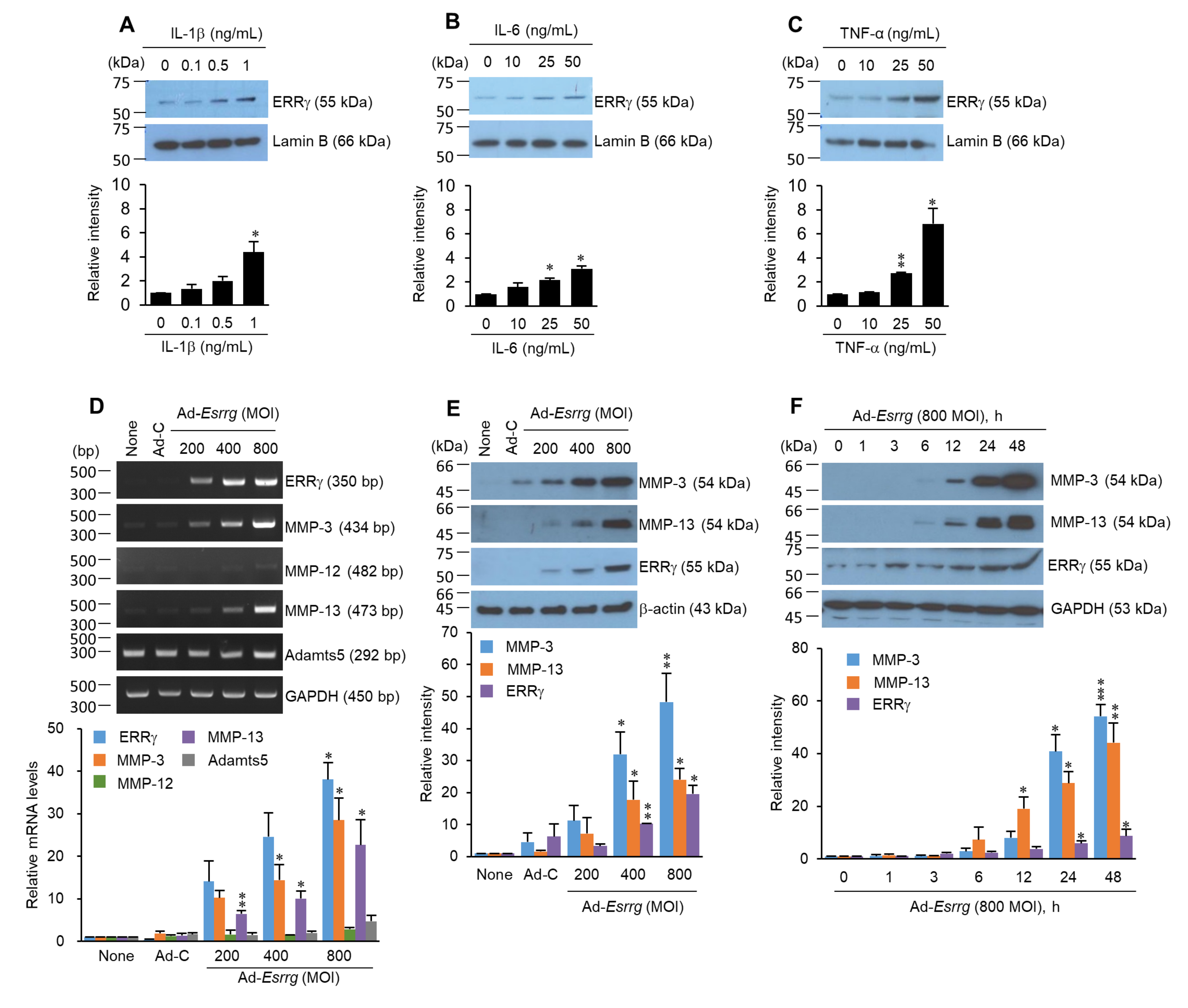 Pharmaceuticals 13 00429 g002