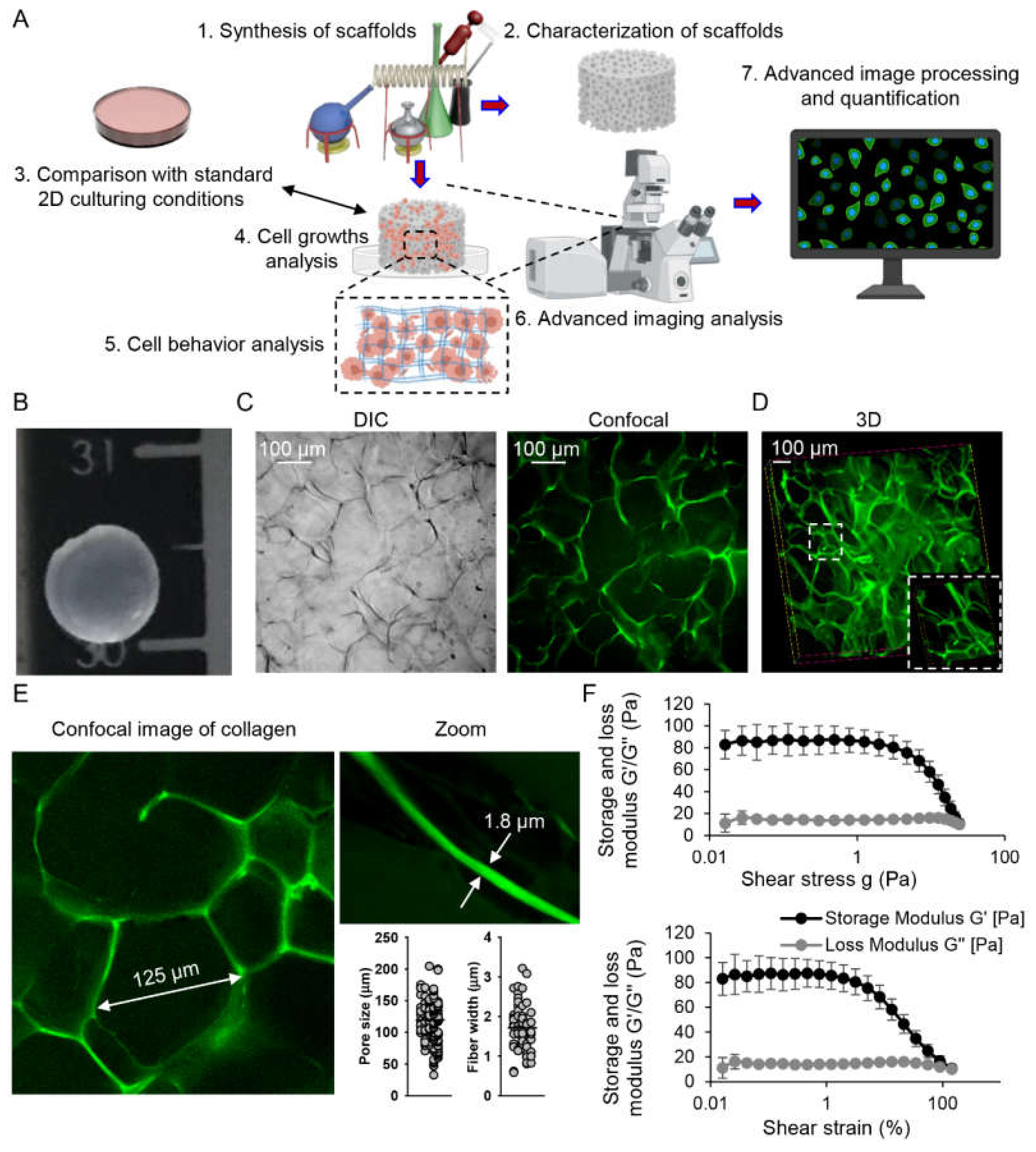 Pharmaceuticals 13 00430 g001