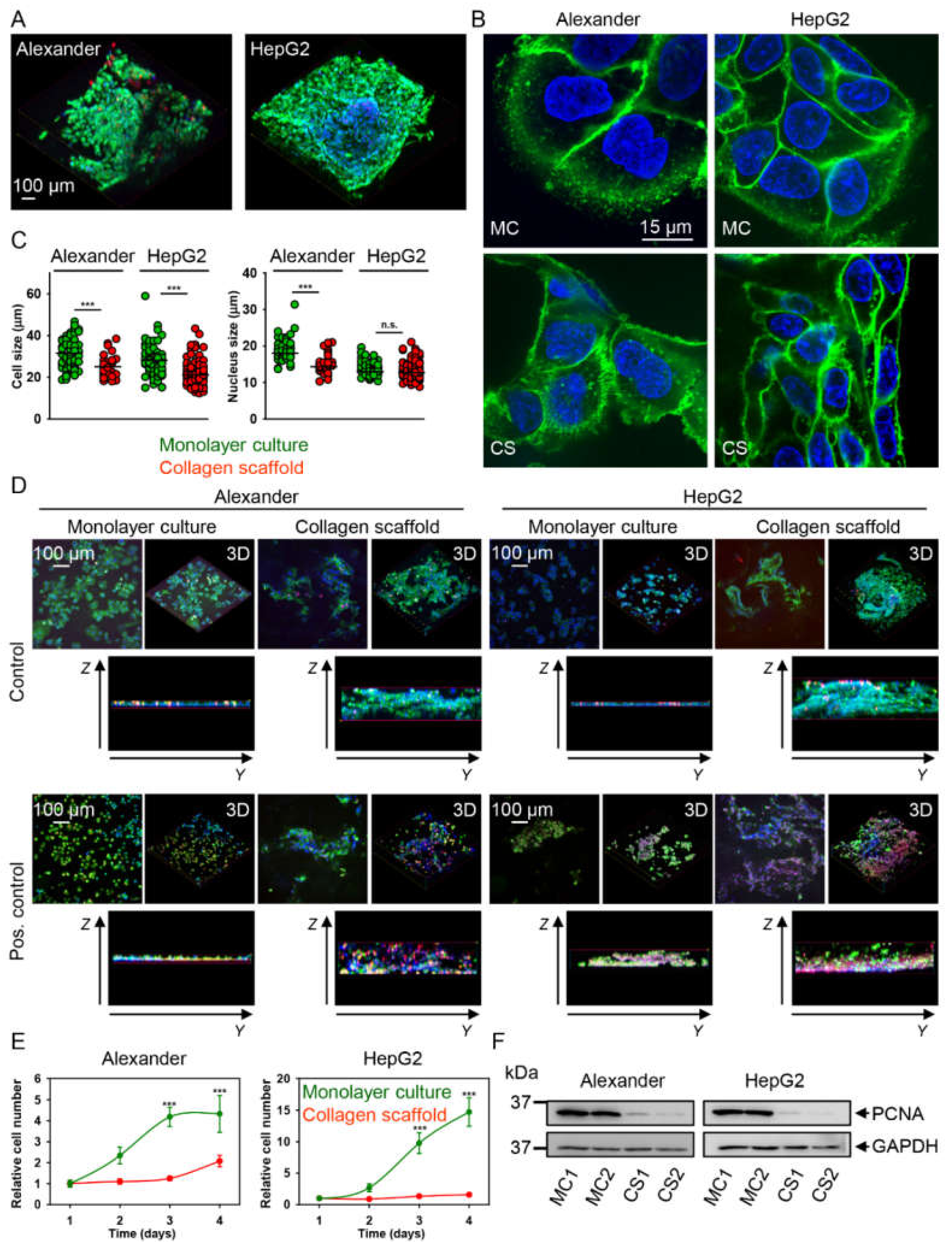 Pharmaceuticals 13 00430 g002