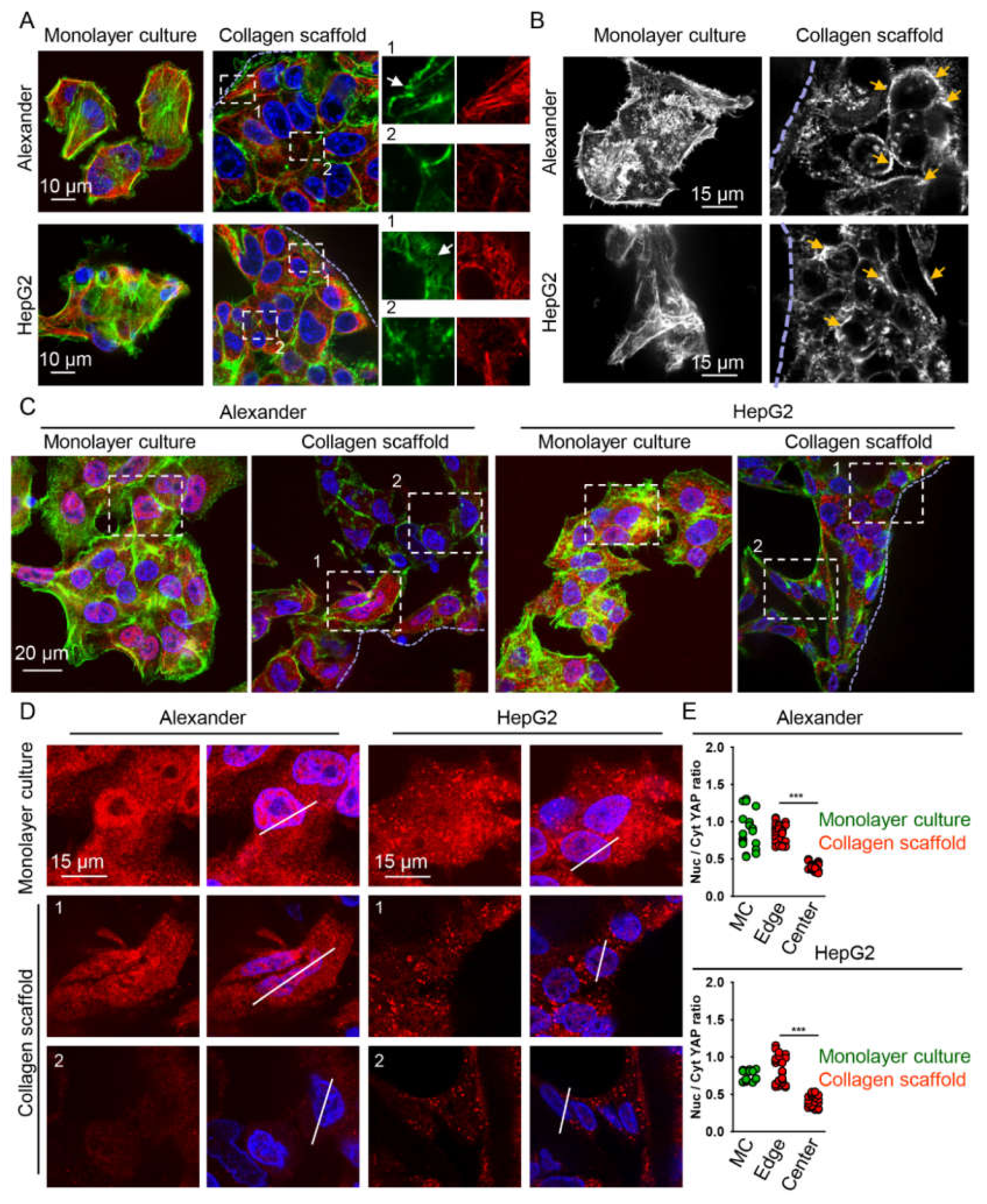 Pharmaceuticals 13 00430 g004