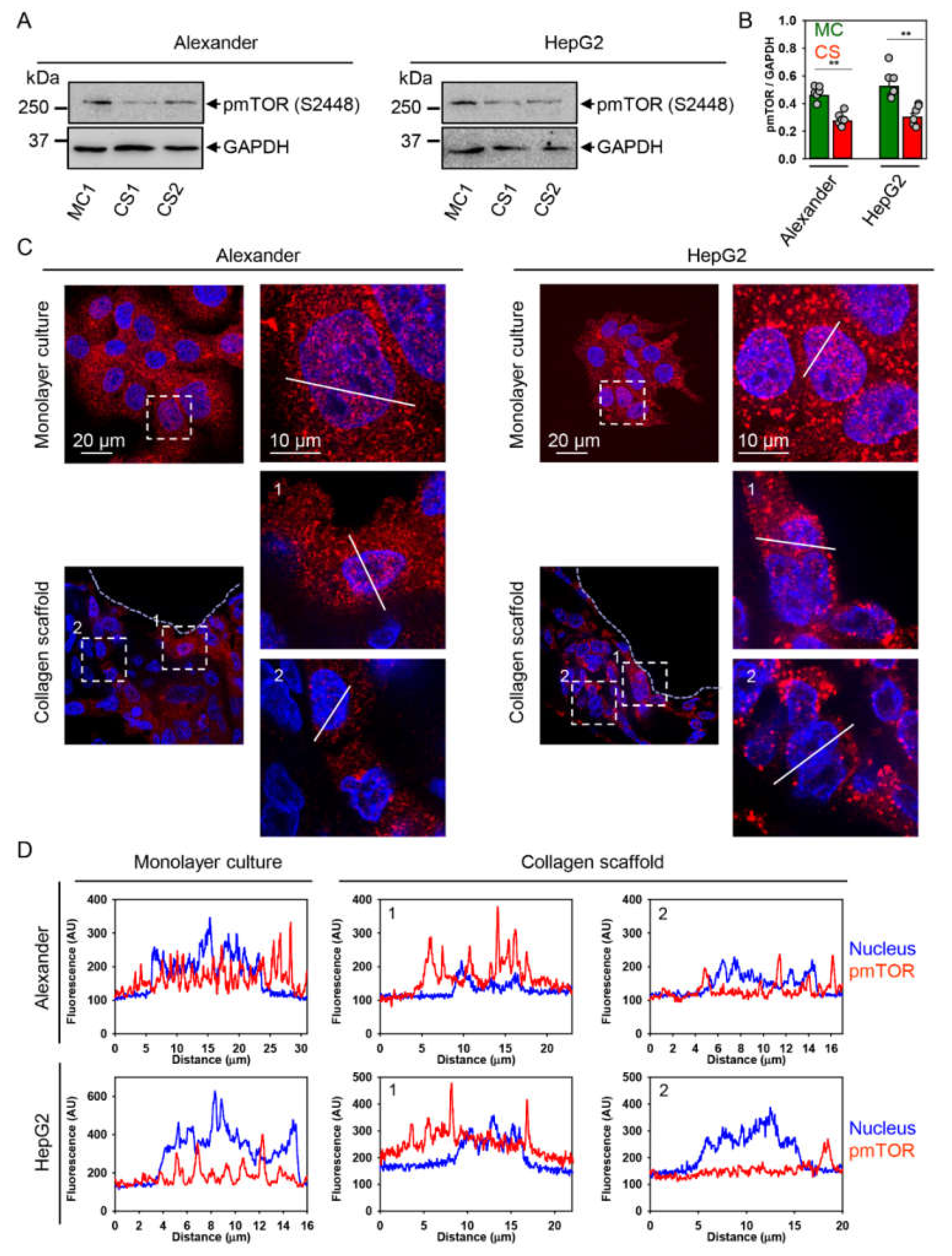 Pharmaceuticals 13 00430 g005