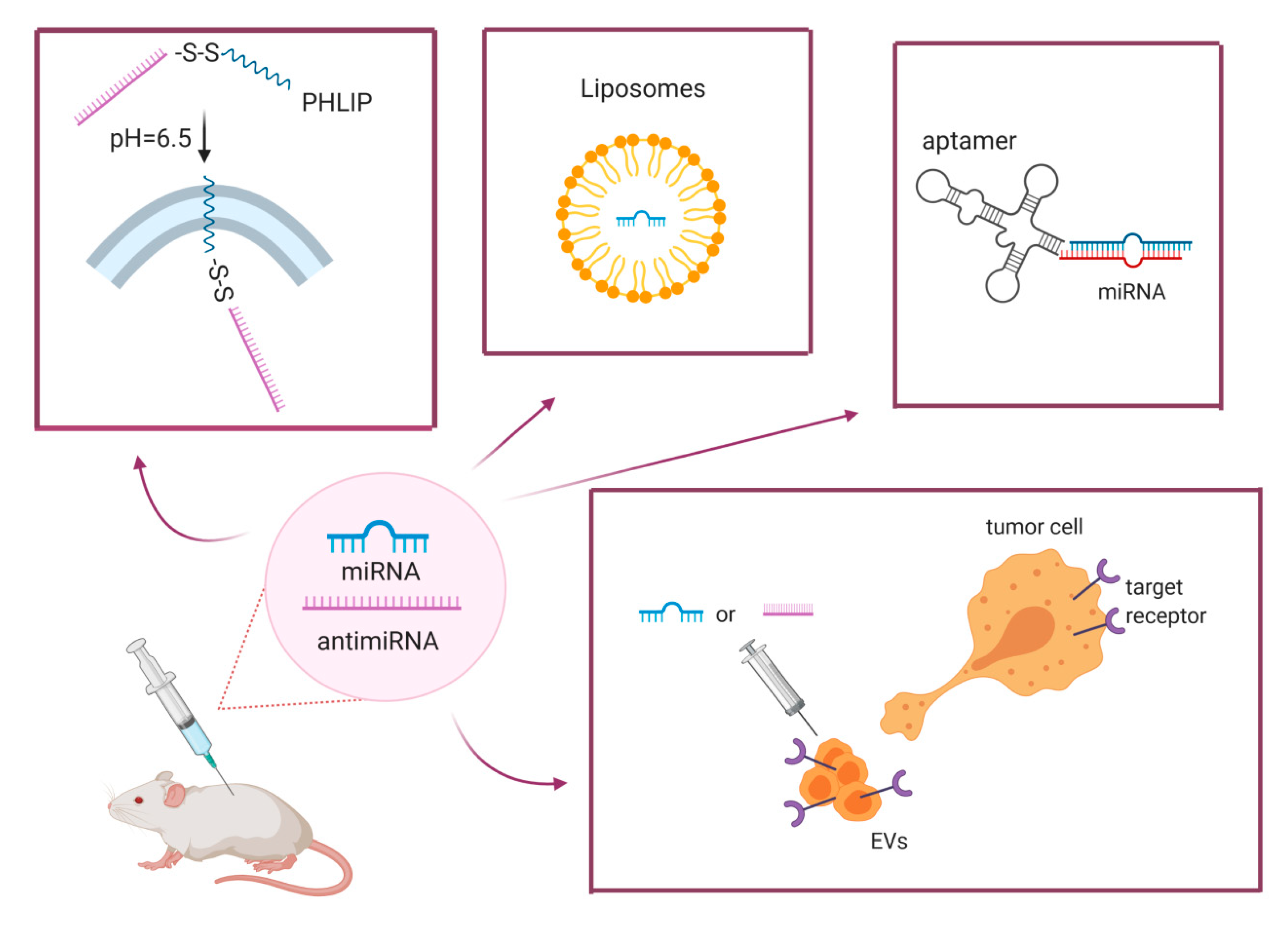 Pharmaceuticals 13 00438 g001 Pharmaceuticals 13 00438 g001