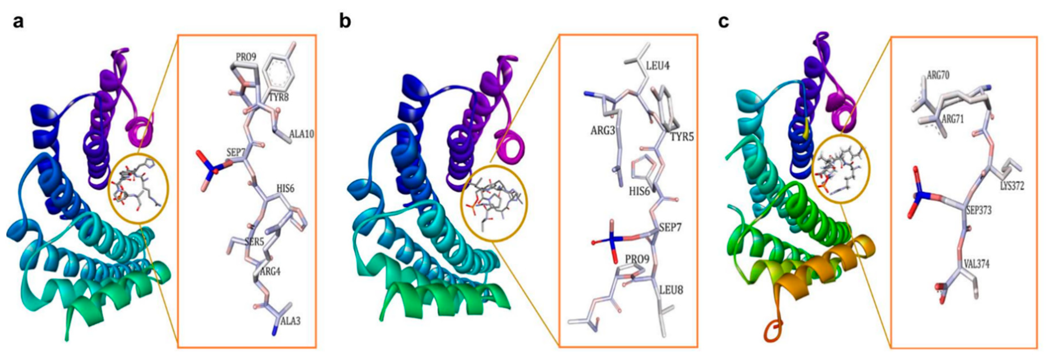 Pharmaceuticals 13 00441 g001