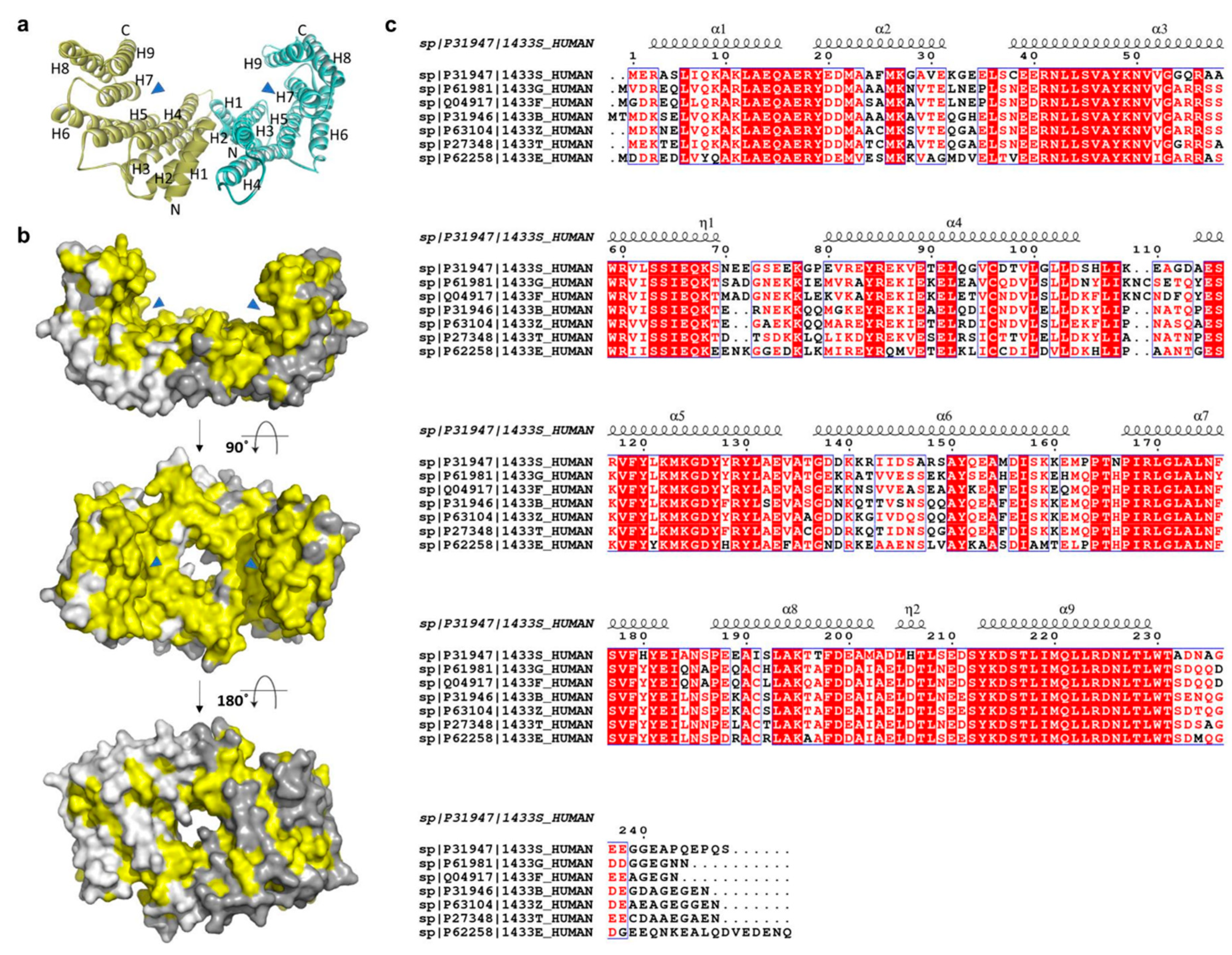 Pharmaceuticals 13 00441 g002