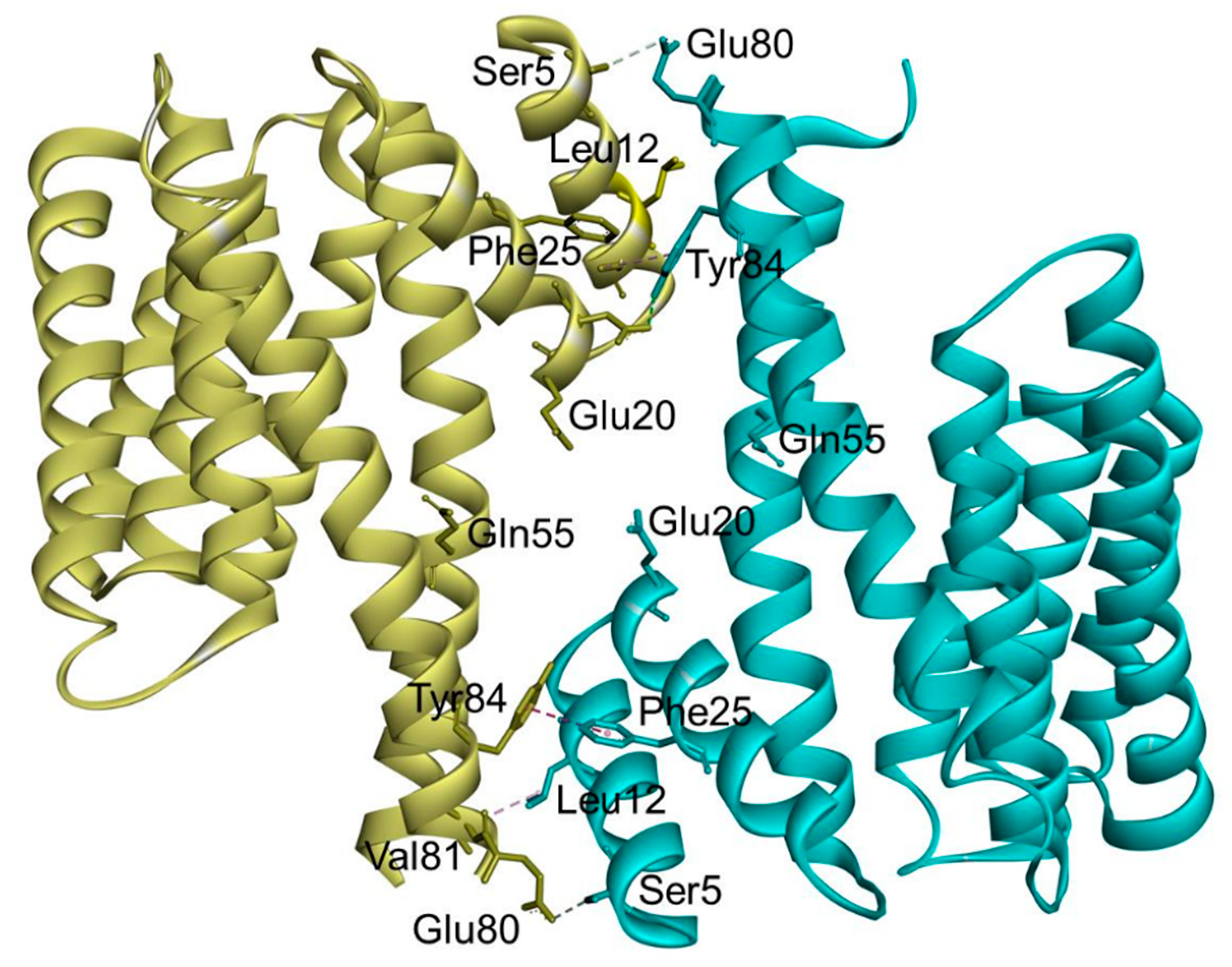 Pharmaceuticals 13 00441 g003