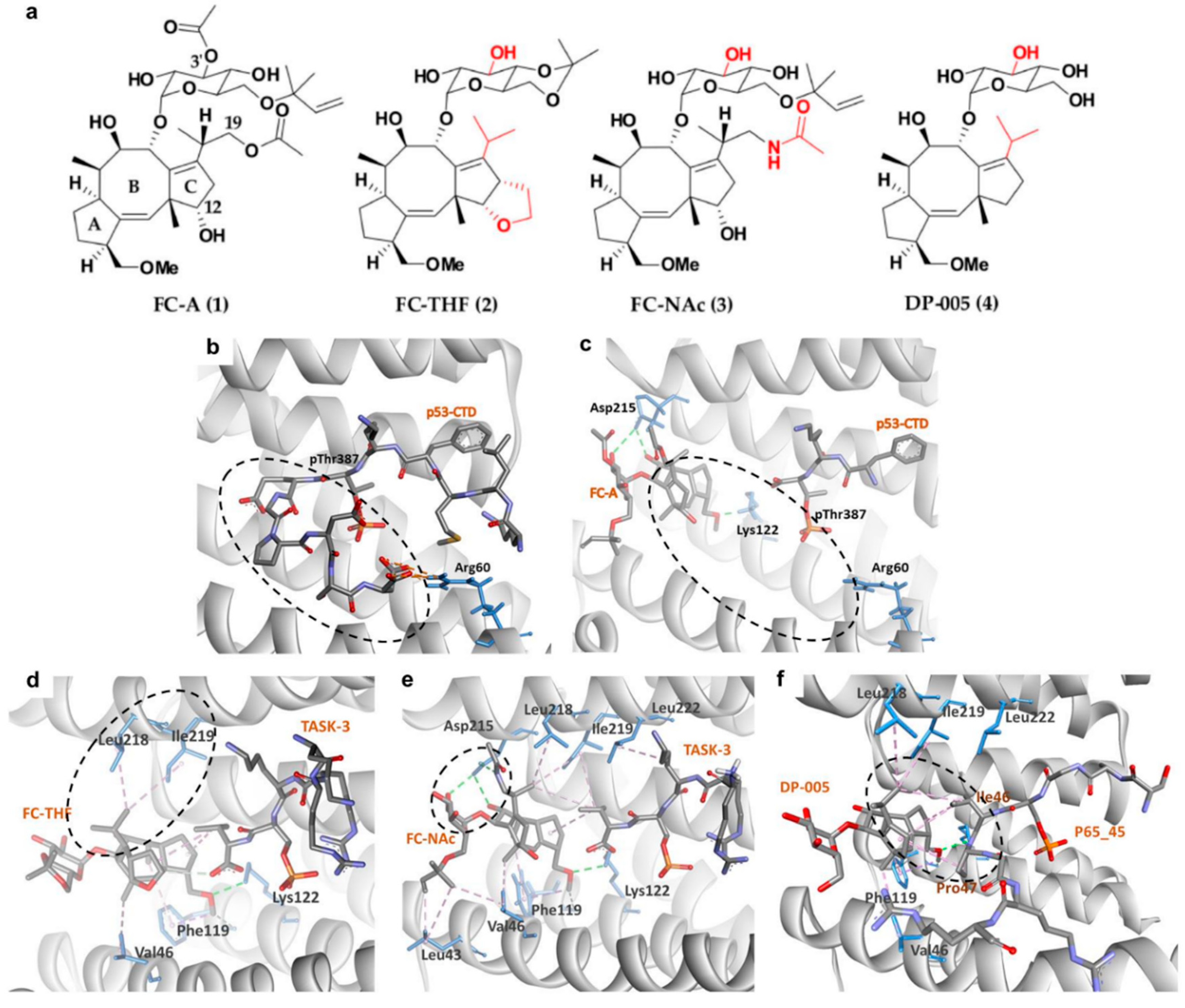 Pharmaceuticals 13 00441 g004