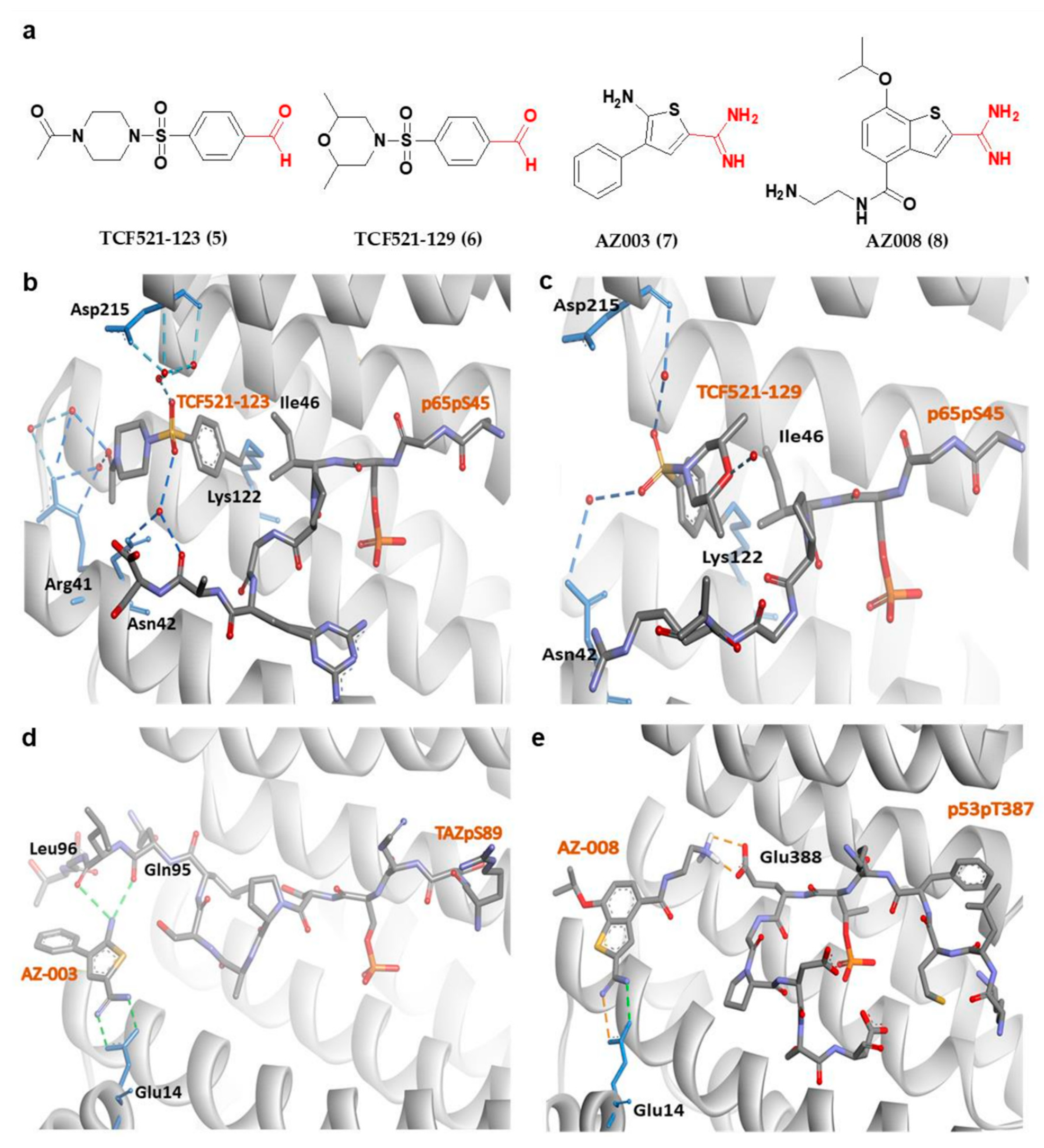 Pharmaceuticals 13 00441 g005