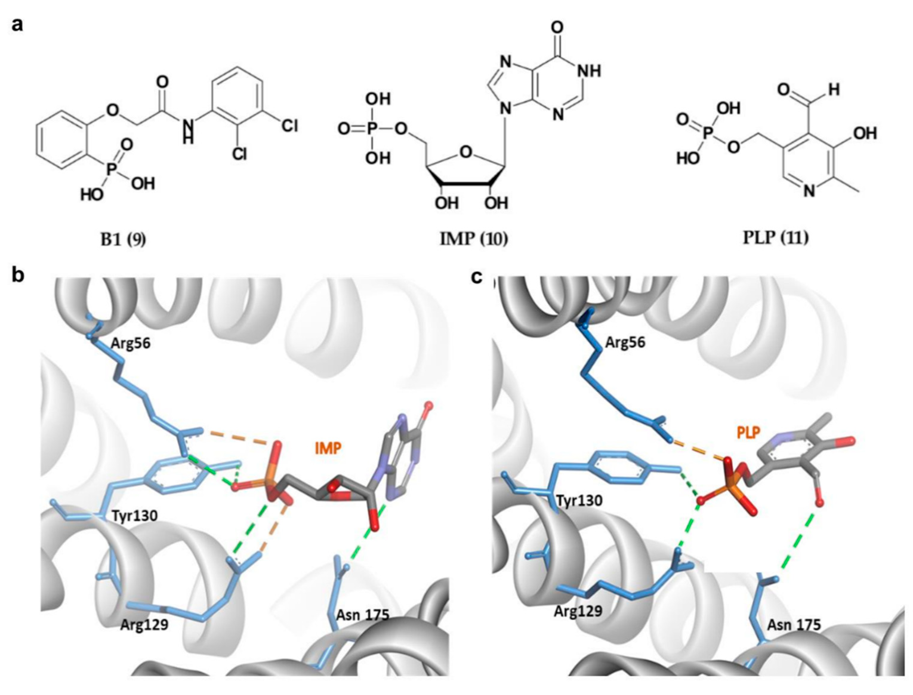 Pharmaceuticals 13 00441 g006