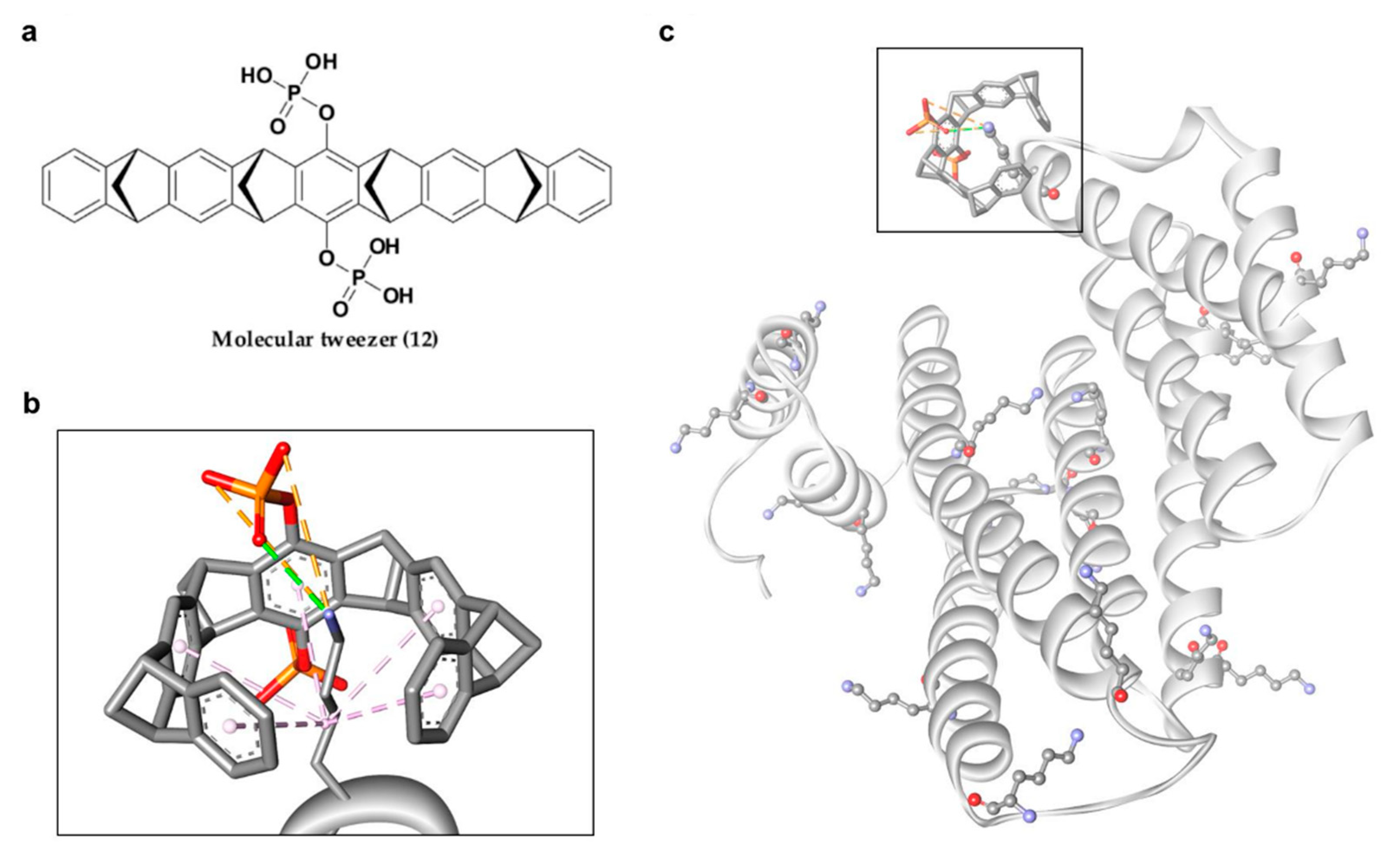 Pharmaceuticals 13 00441 g007