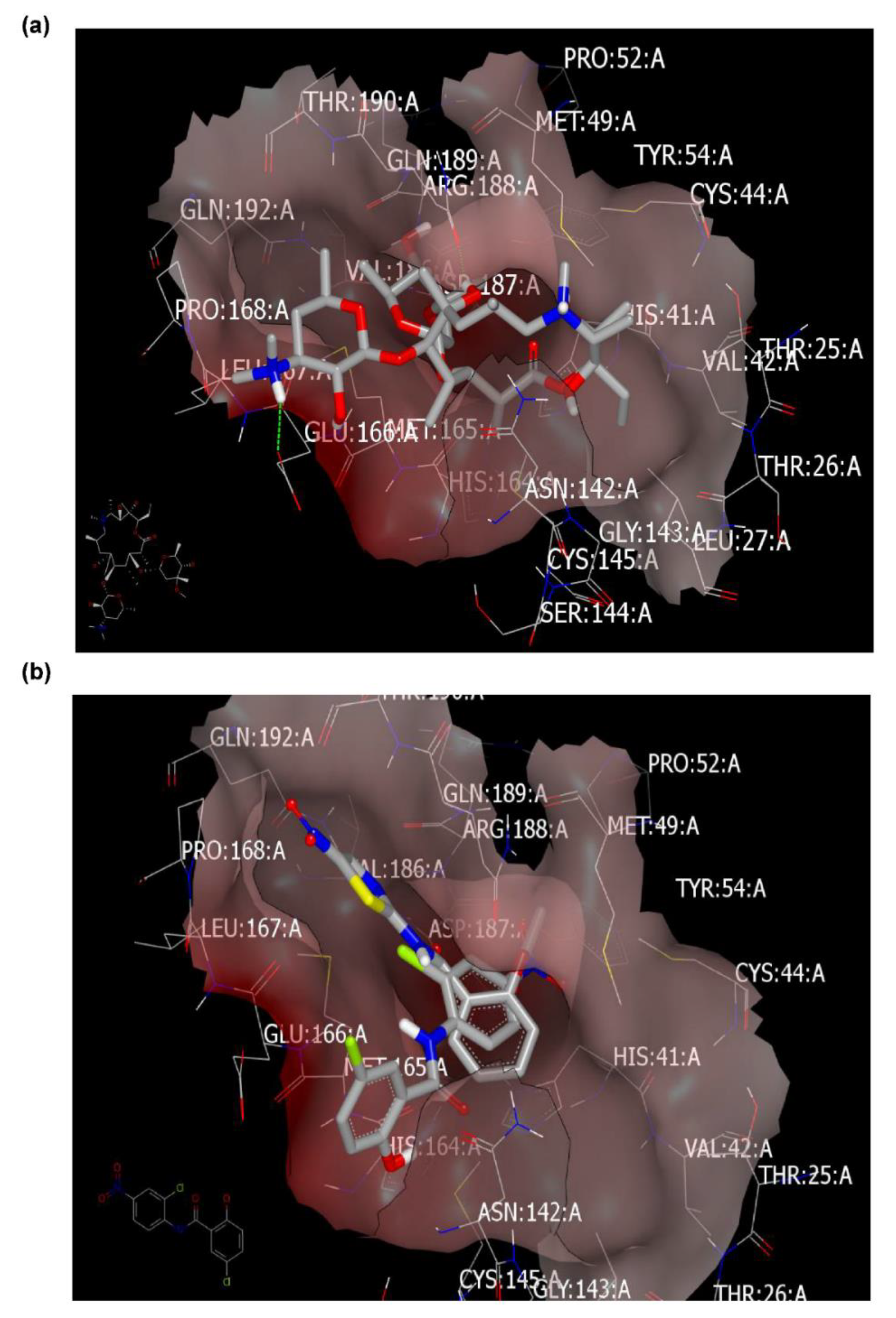 Pharmaceuticals 13 00443 g003
