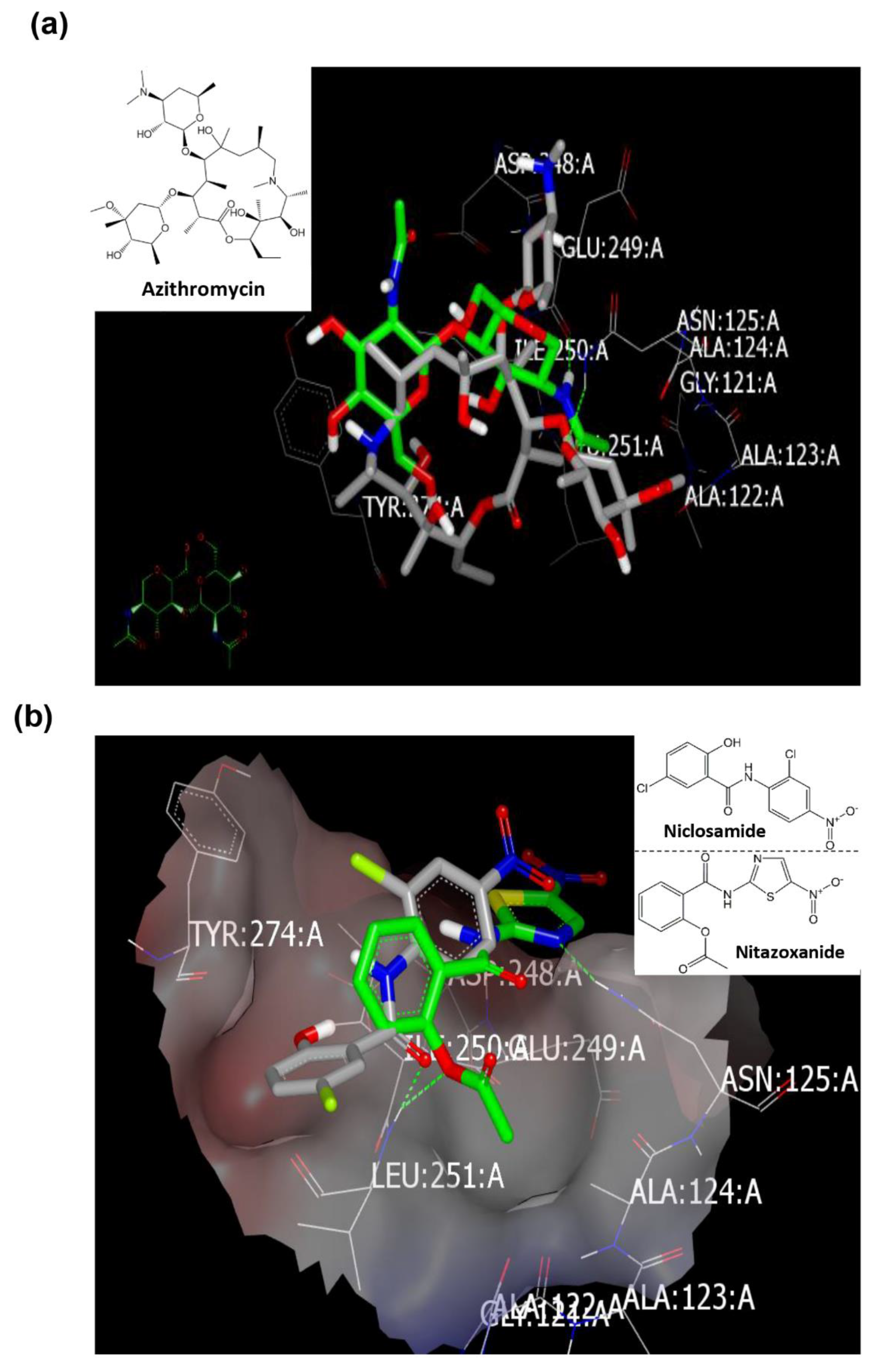 Pharmaceuticals 13 00443 g007