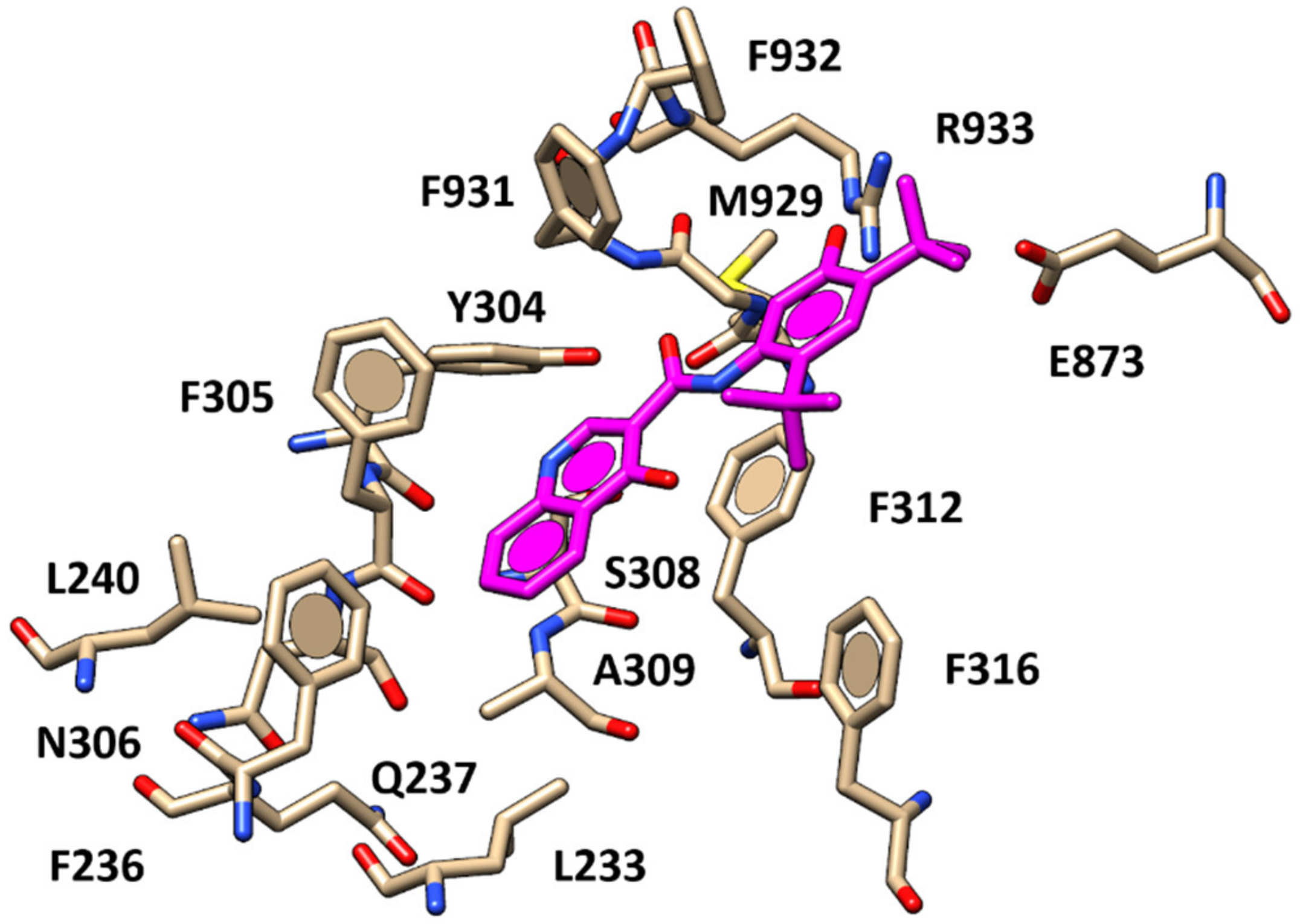 Pharmaceuticals 13 00445 g003