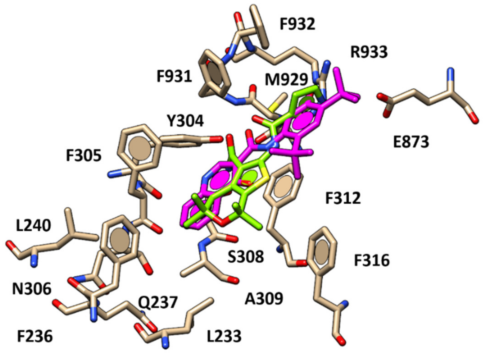 Pharmaceuticals 13 00445 g004