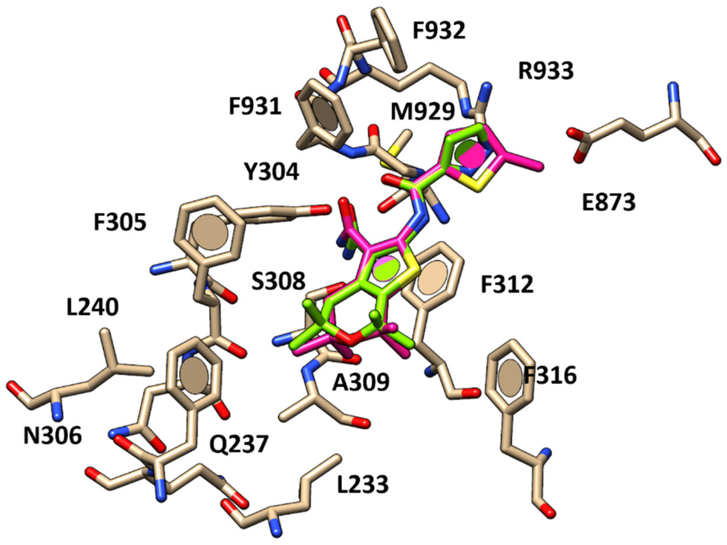 Pharmaceuticals 13 00445 g006