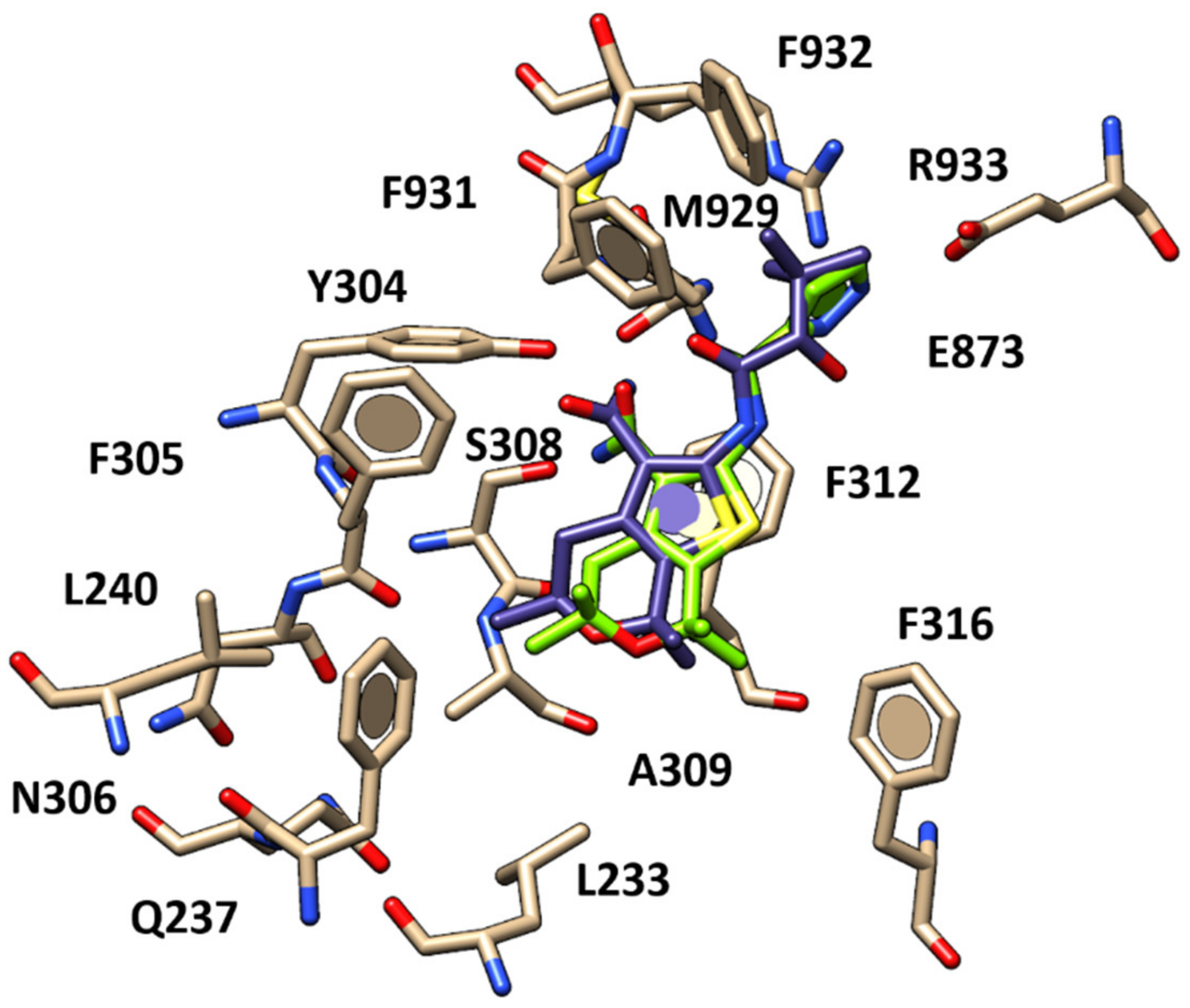 Pharmaceuticals 13 00445 g007