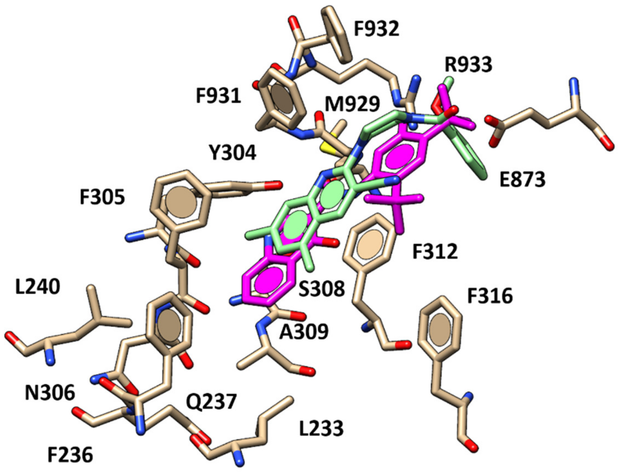 Pharmaceuticals 13 00445 g008