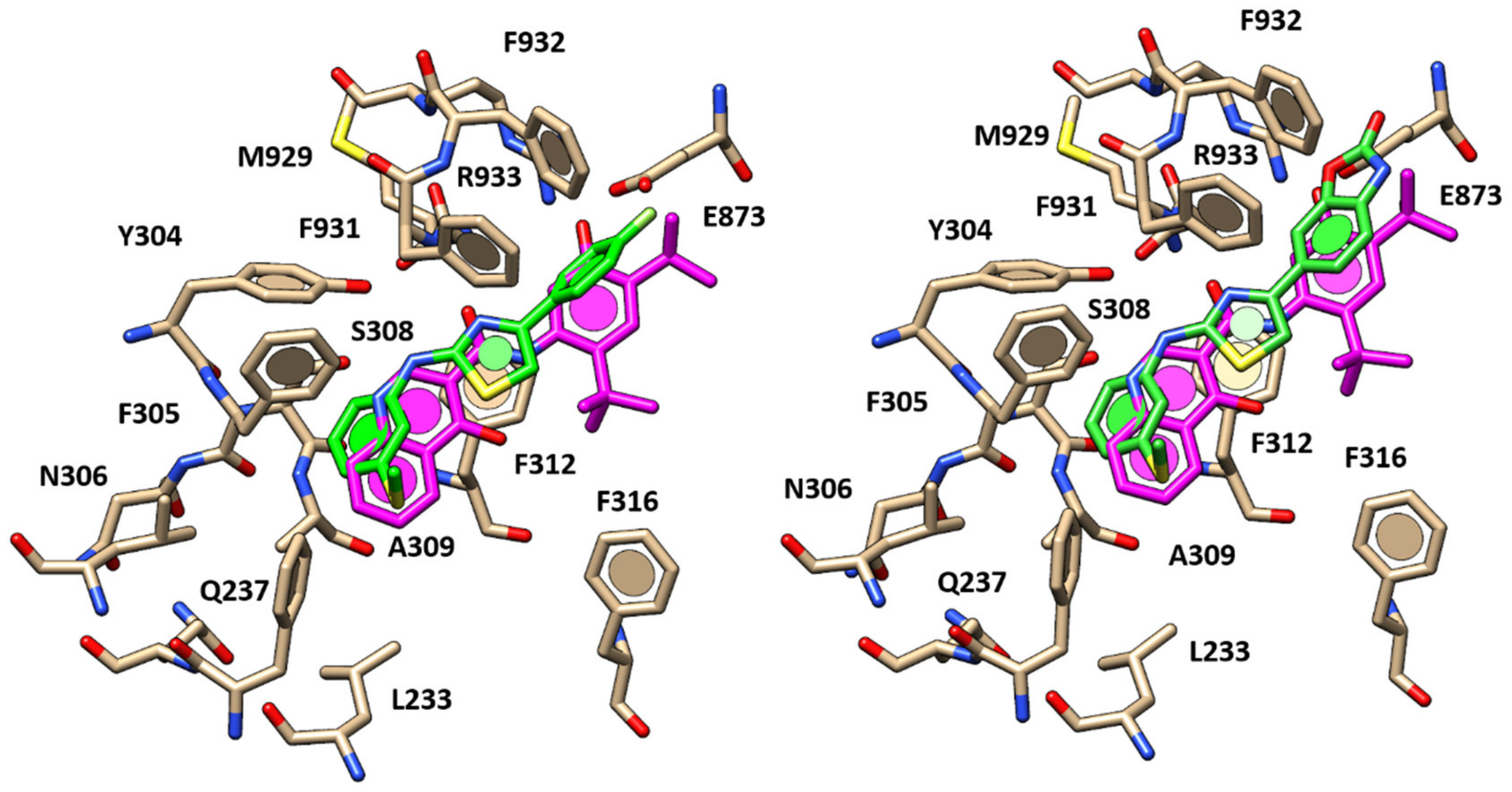 Pharmaceuticals 13 00445 g011