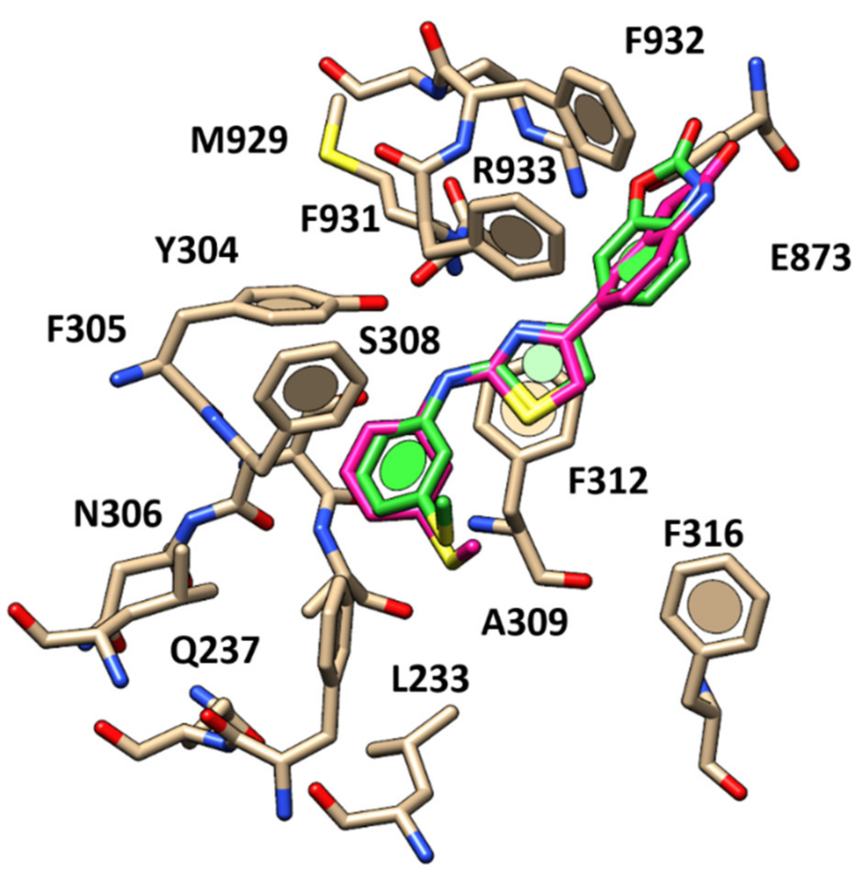 Pharmaceuticals 13 00445 g012