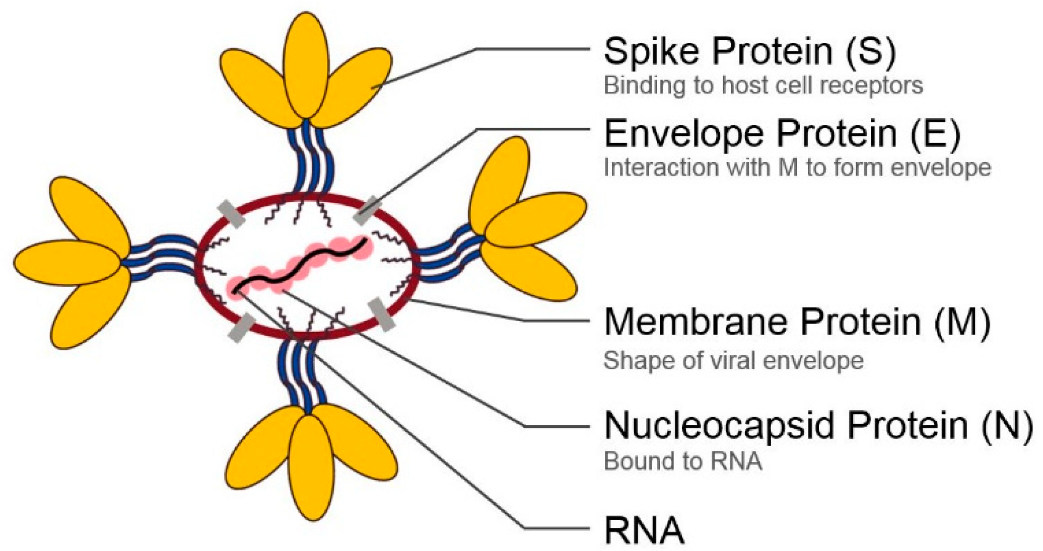 Pharmaceuticals 13 00447 g001