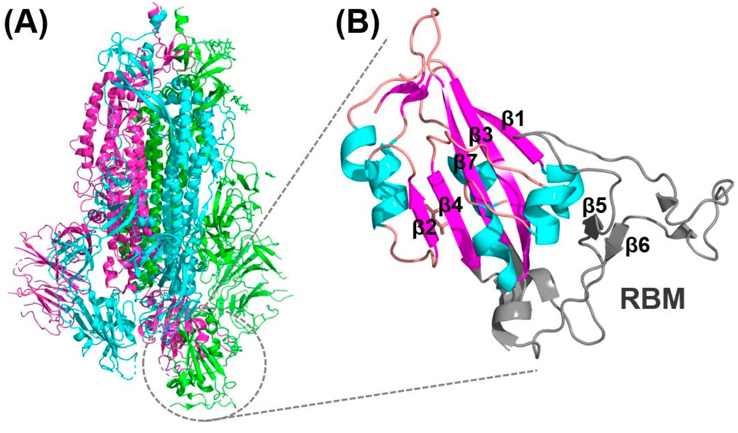 Pharmaceuticals 13 00447 g003