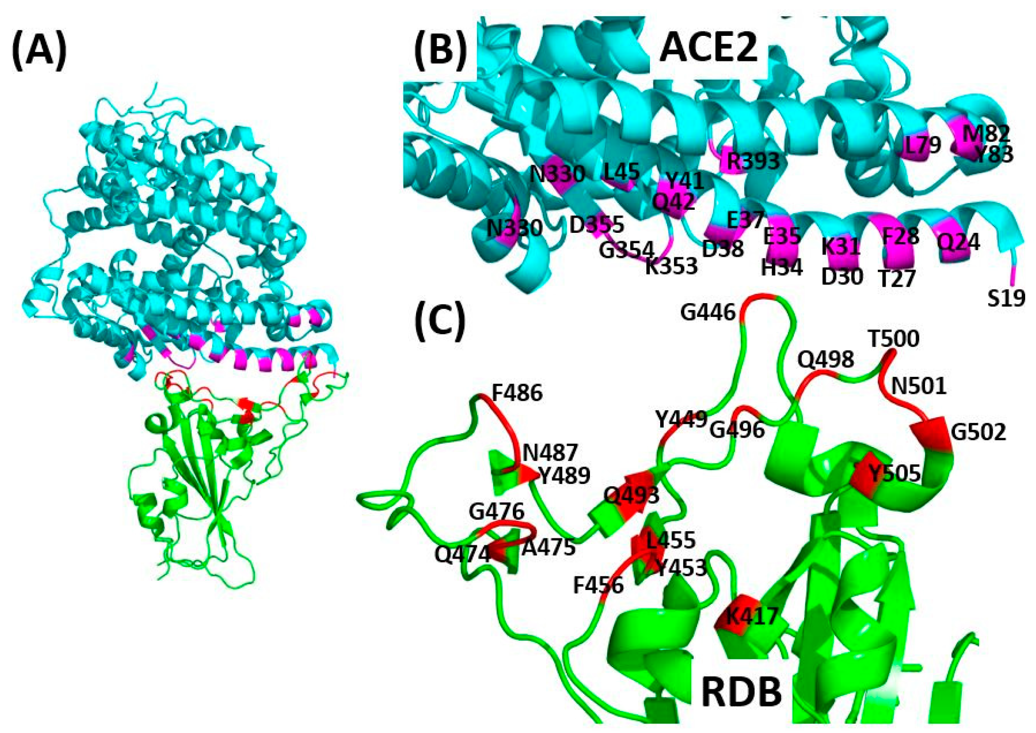 Pharmaceuticals 13 00447 g004