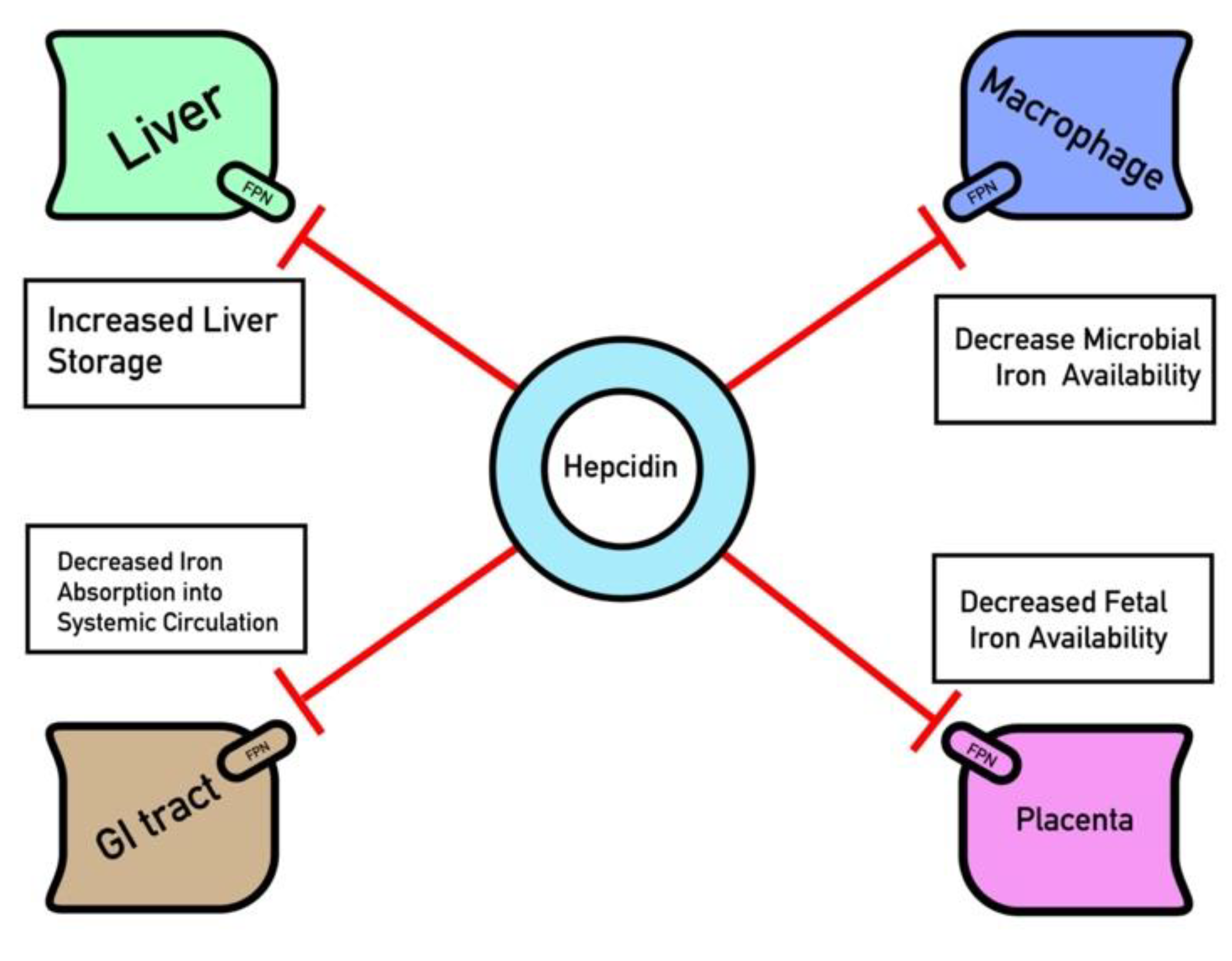 Pharmaceuticals 13 00449 g001