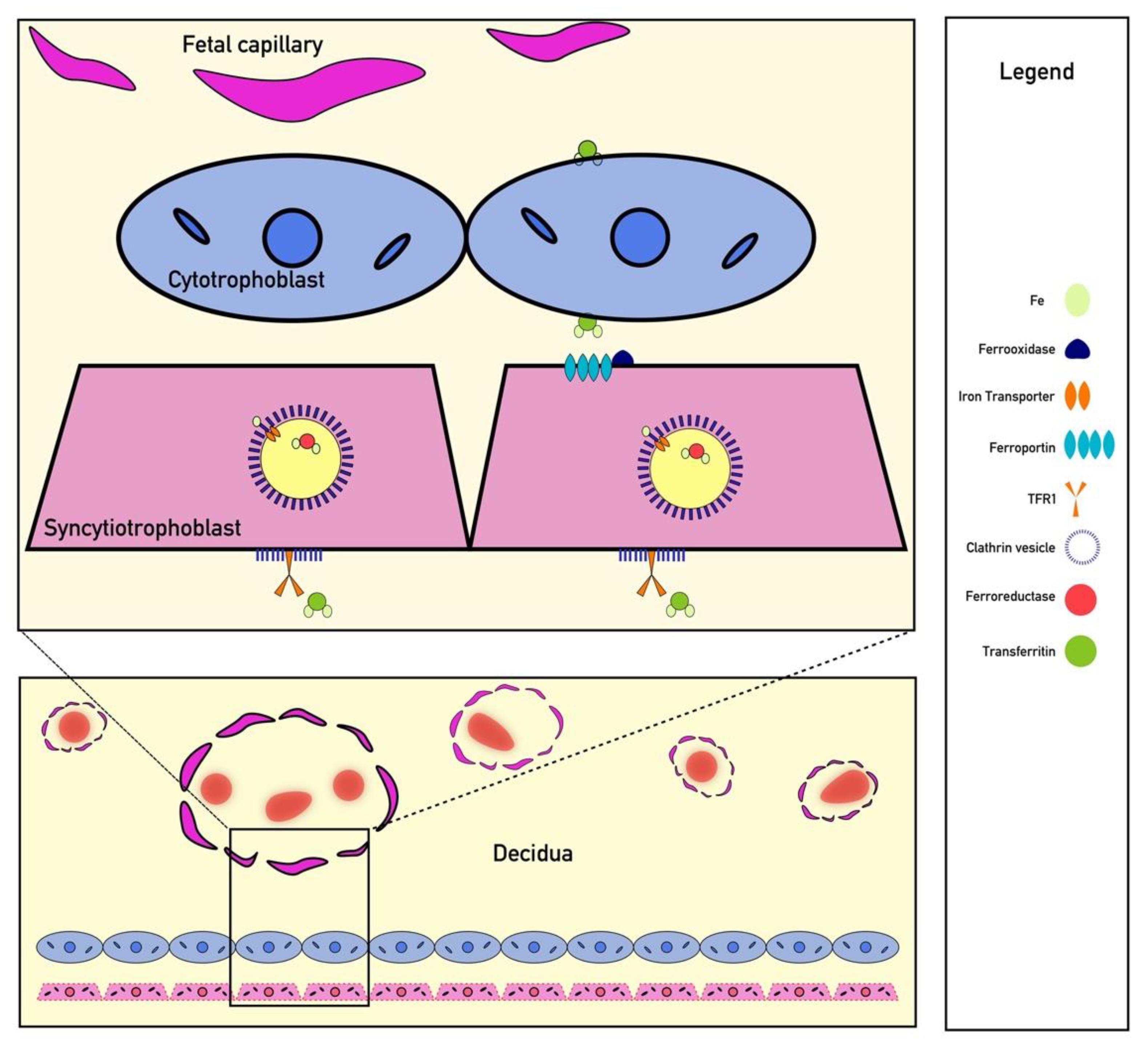 Pharmaceuticals 13 00449 g002