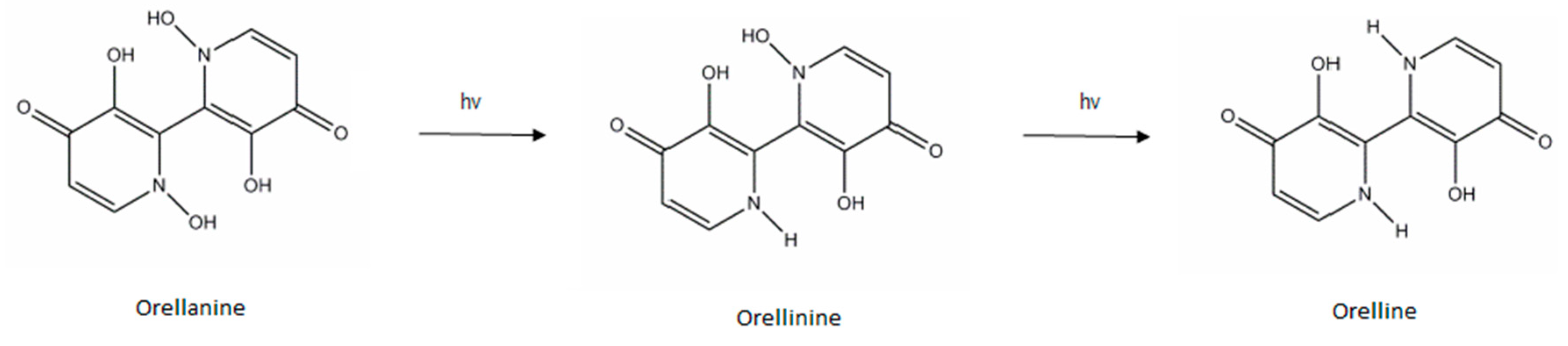 Pharmaceuticals 13 00454 g001 Pharmaceuticals 13 00454 g001