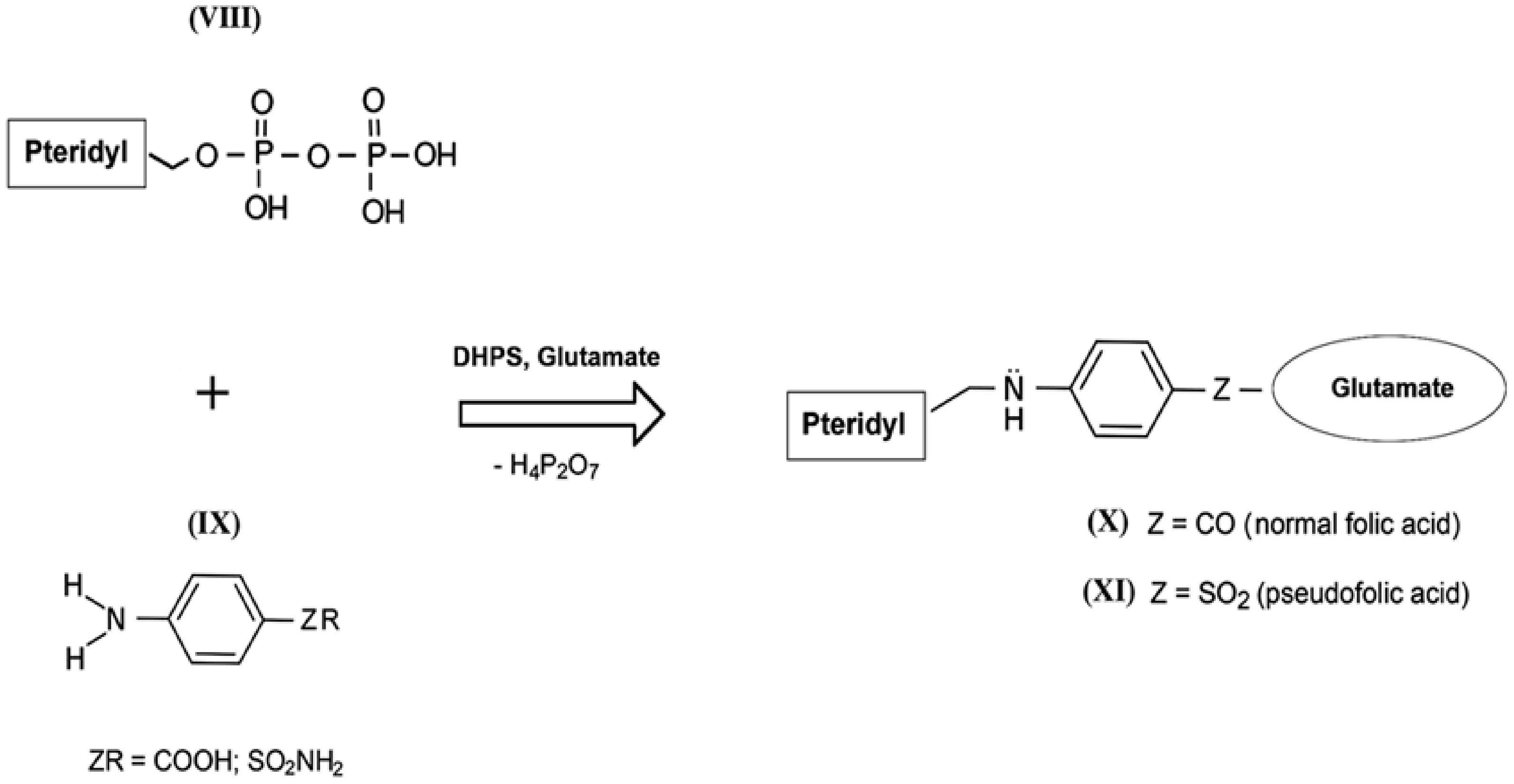 Pharmaceuticals 13 00461 g004 Pharmaceuticals 13 00461 g004