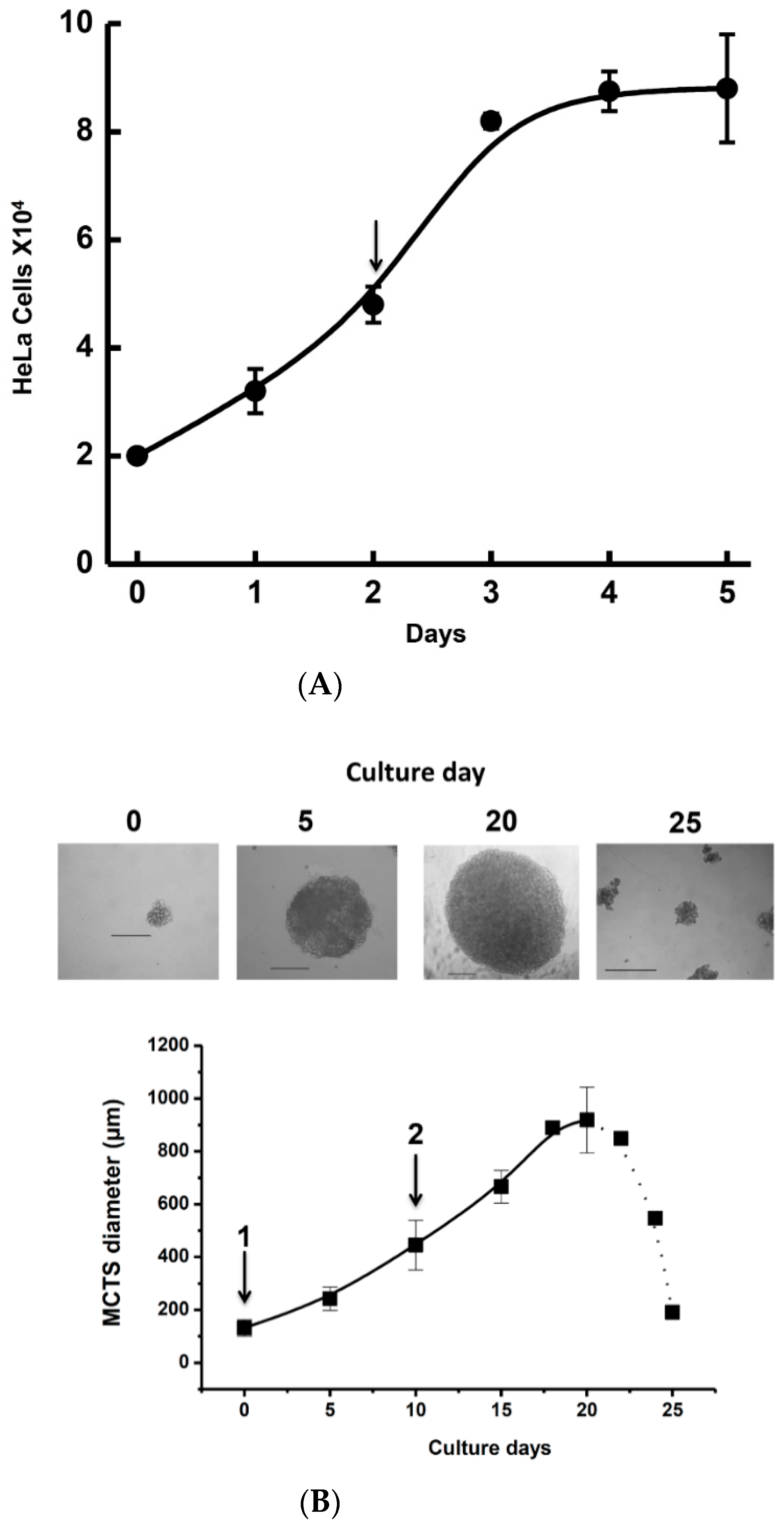 Pharmaceuticals 13 00463 g001 Pharmaceuticals 13 00463 g001