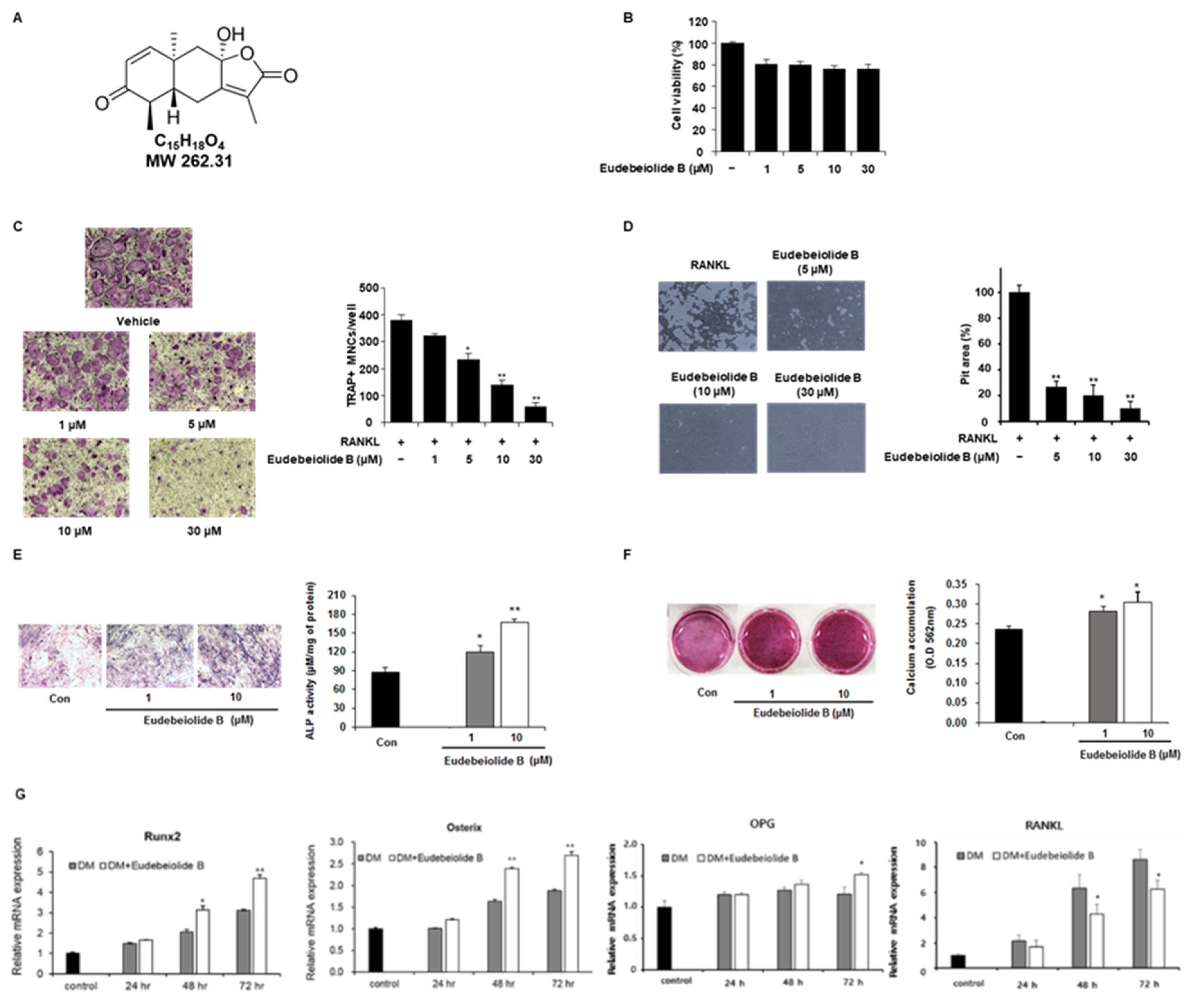 Pharmaceuticals 13 00468 g001