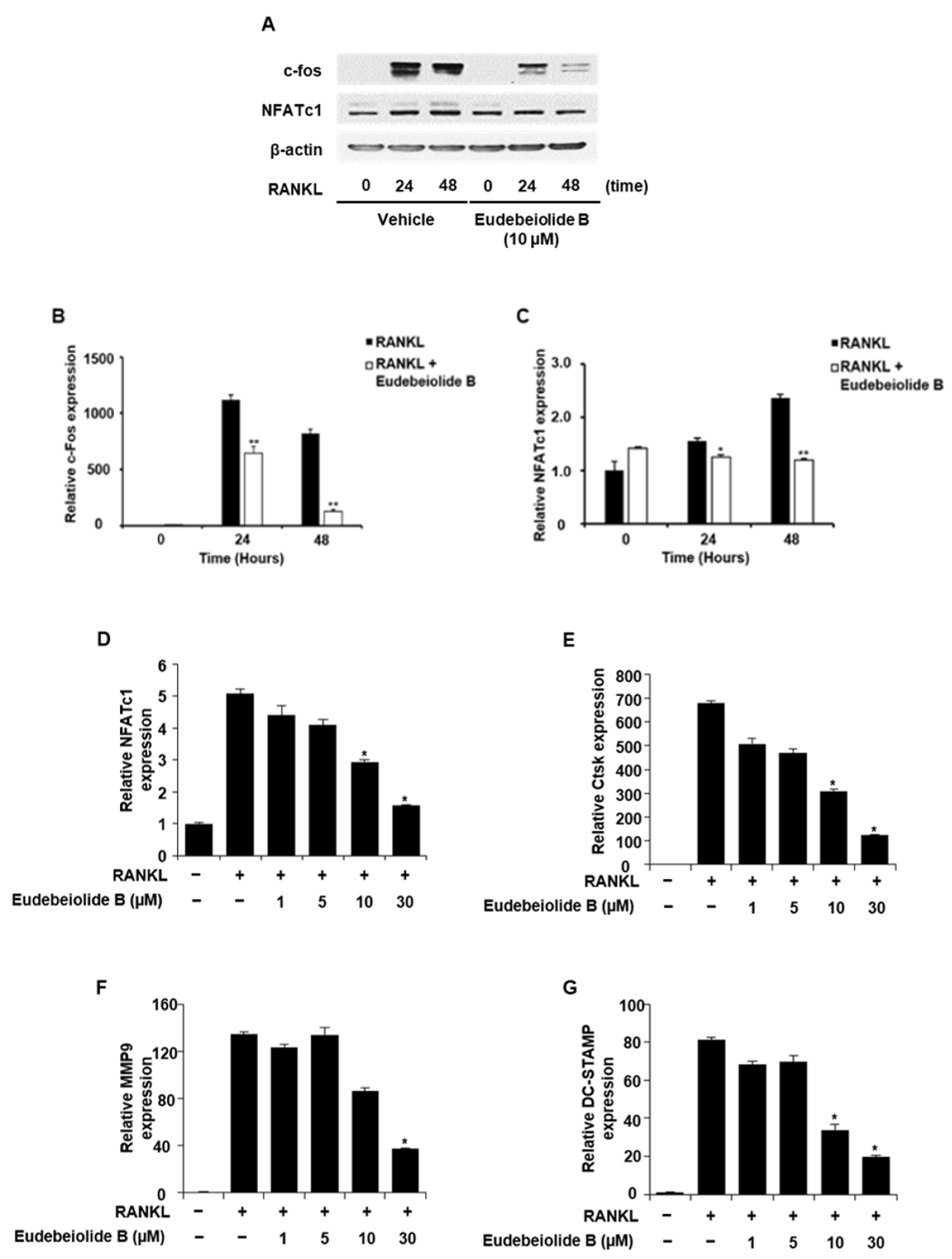 Pharmaceuticals 13 00468 g002