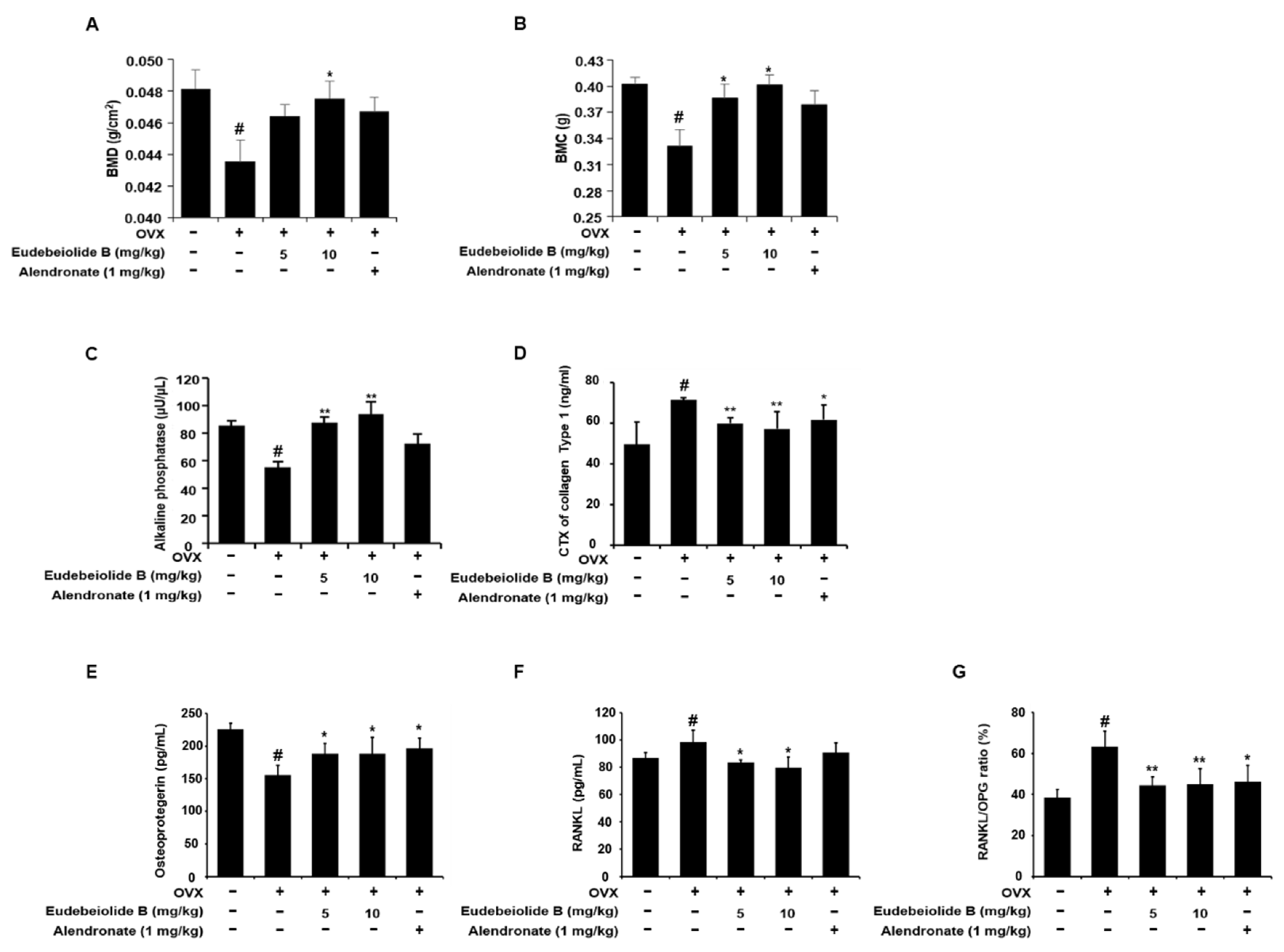 Pharmaceuticals 13 00468 g005
