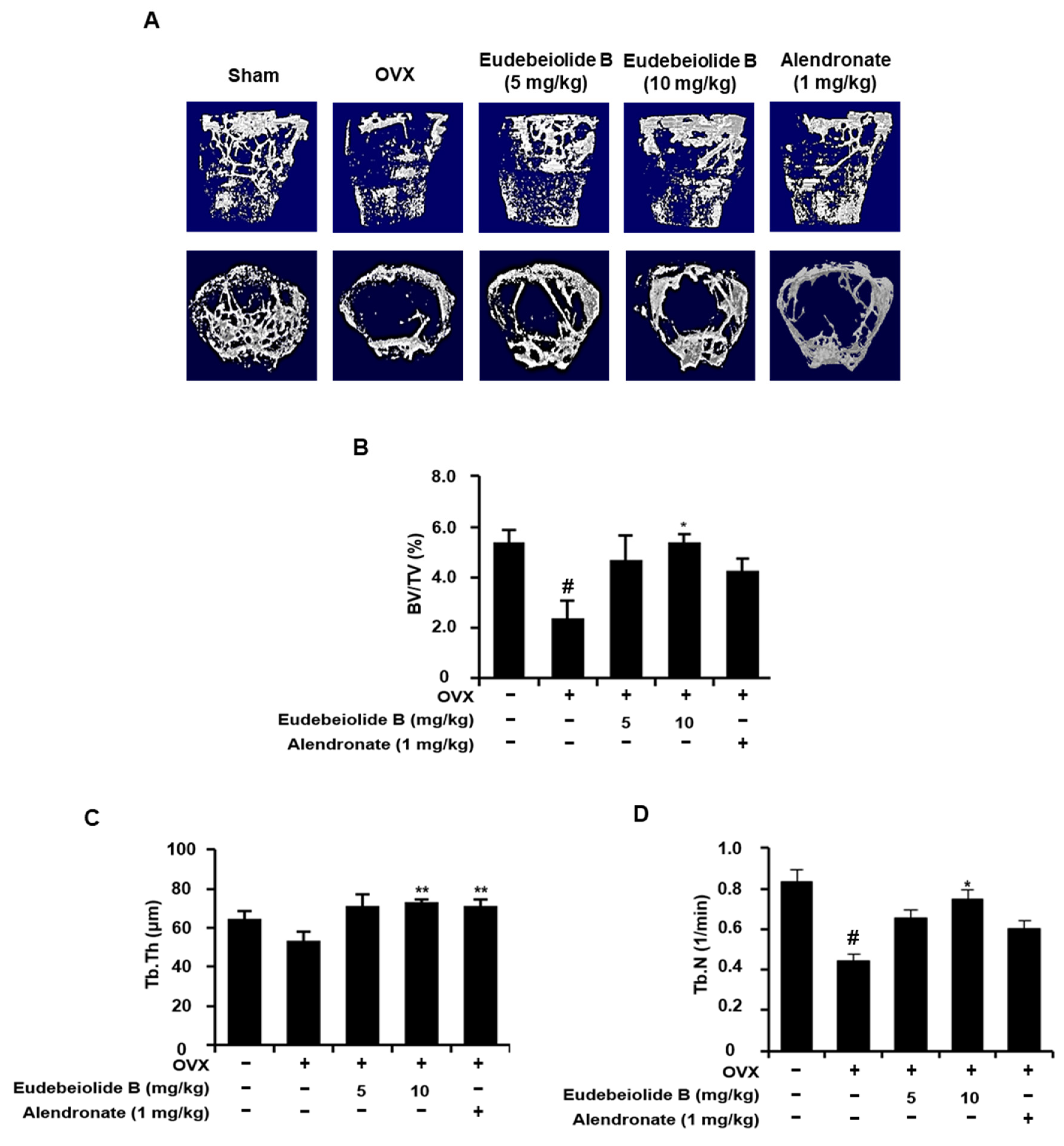 Pharmaceuticals 13 00468 g006