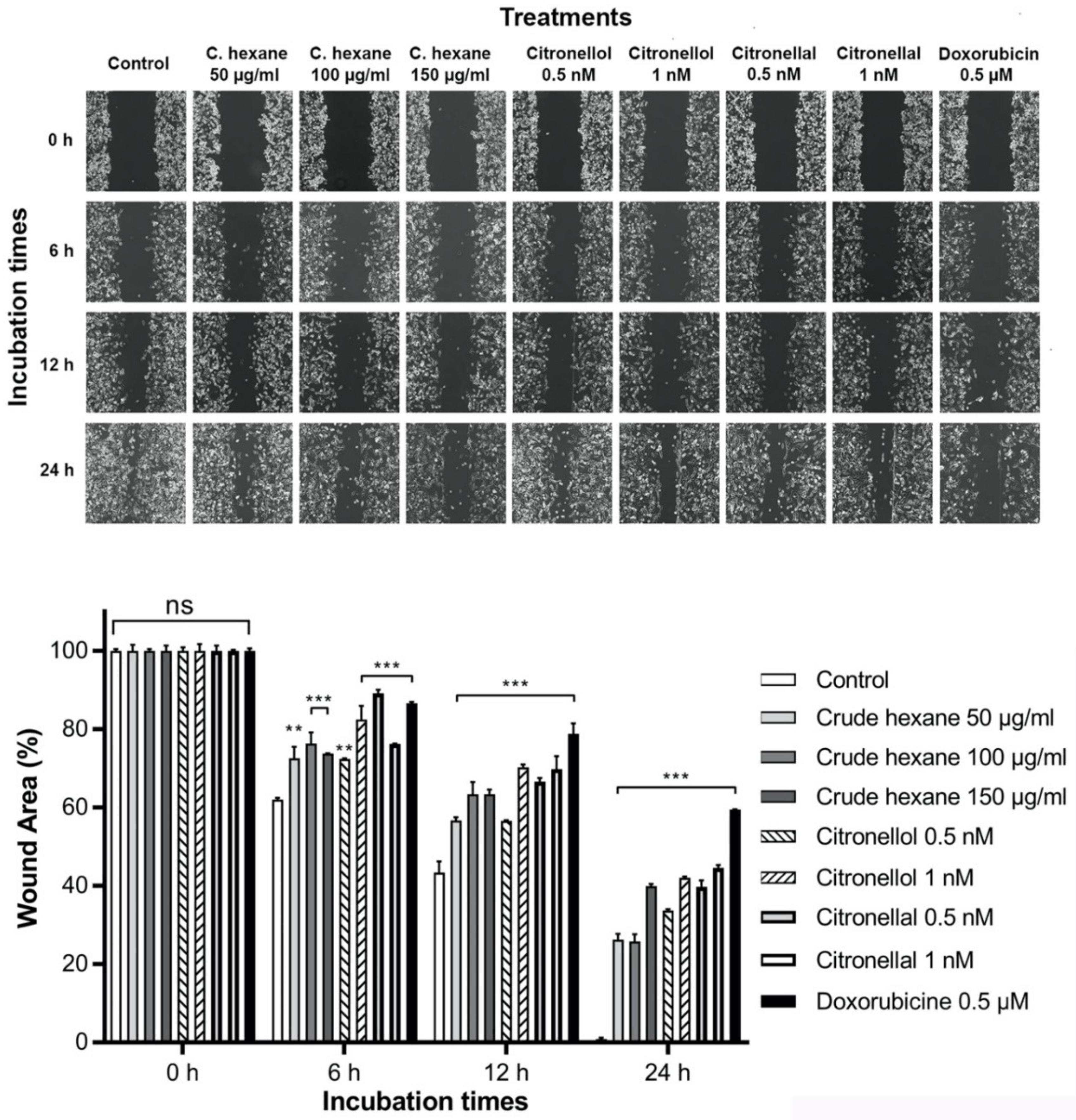 Pharmaceuticals 13 00476 g003