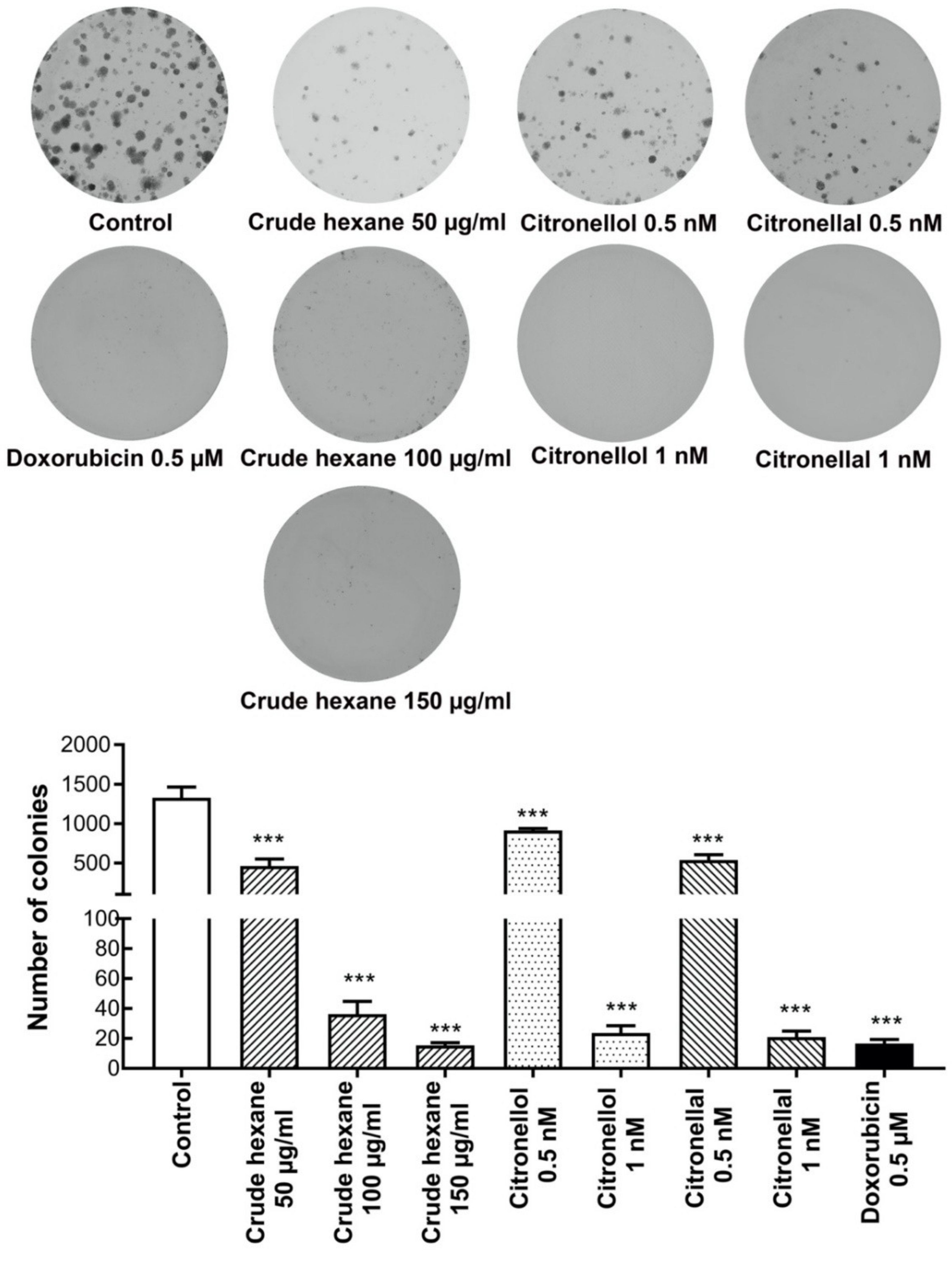 Pharmaceuticals 13 00476 g004