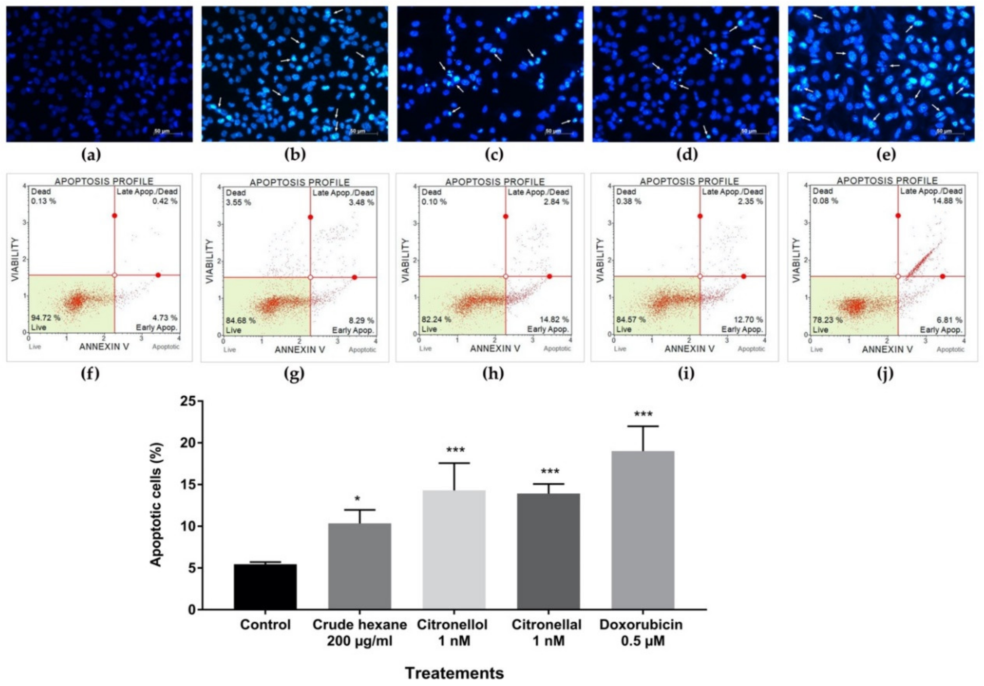 Pharmaceuticals 13 00476 g006