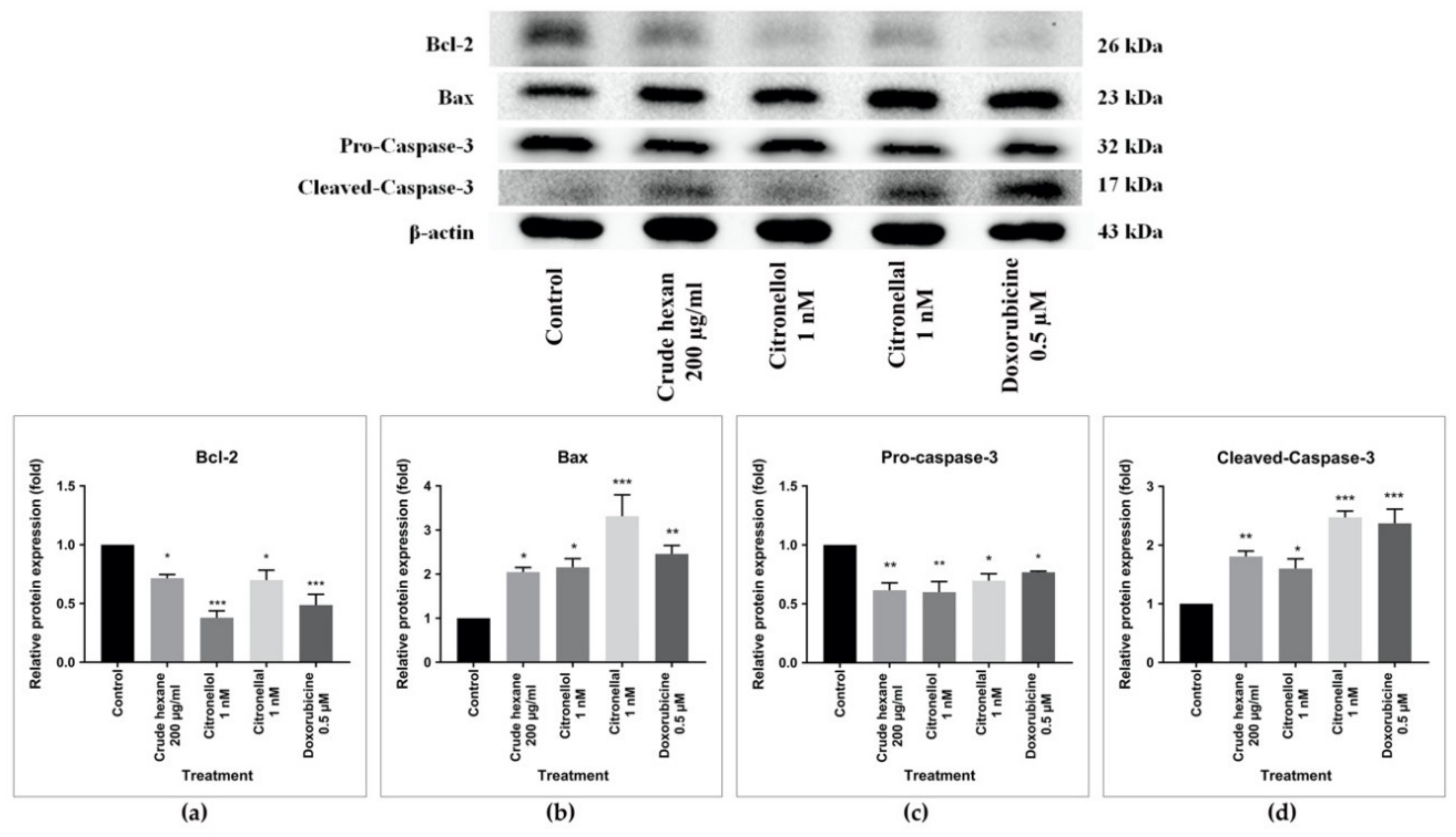 Pharmaceuticals 13 00476 g008