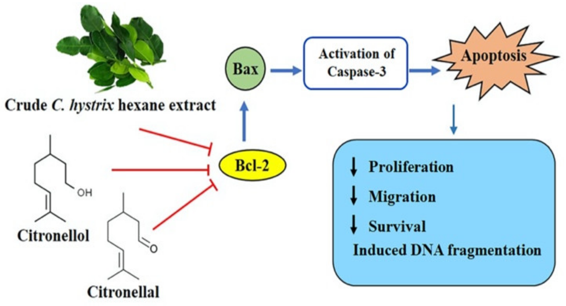 Pharmaceuticals 13 00476 g009