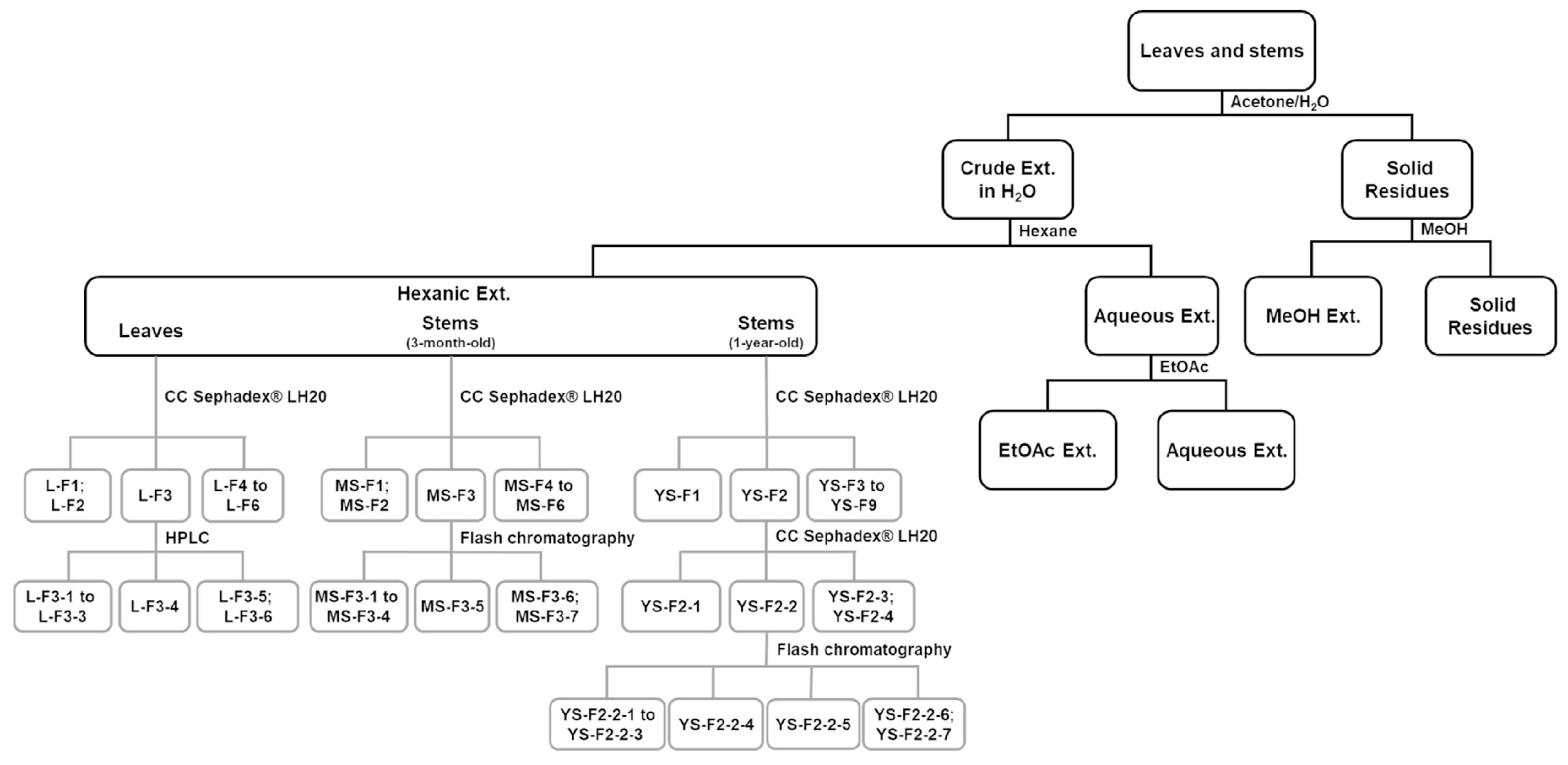 Pharmaceuticals 13 00477 g001