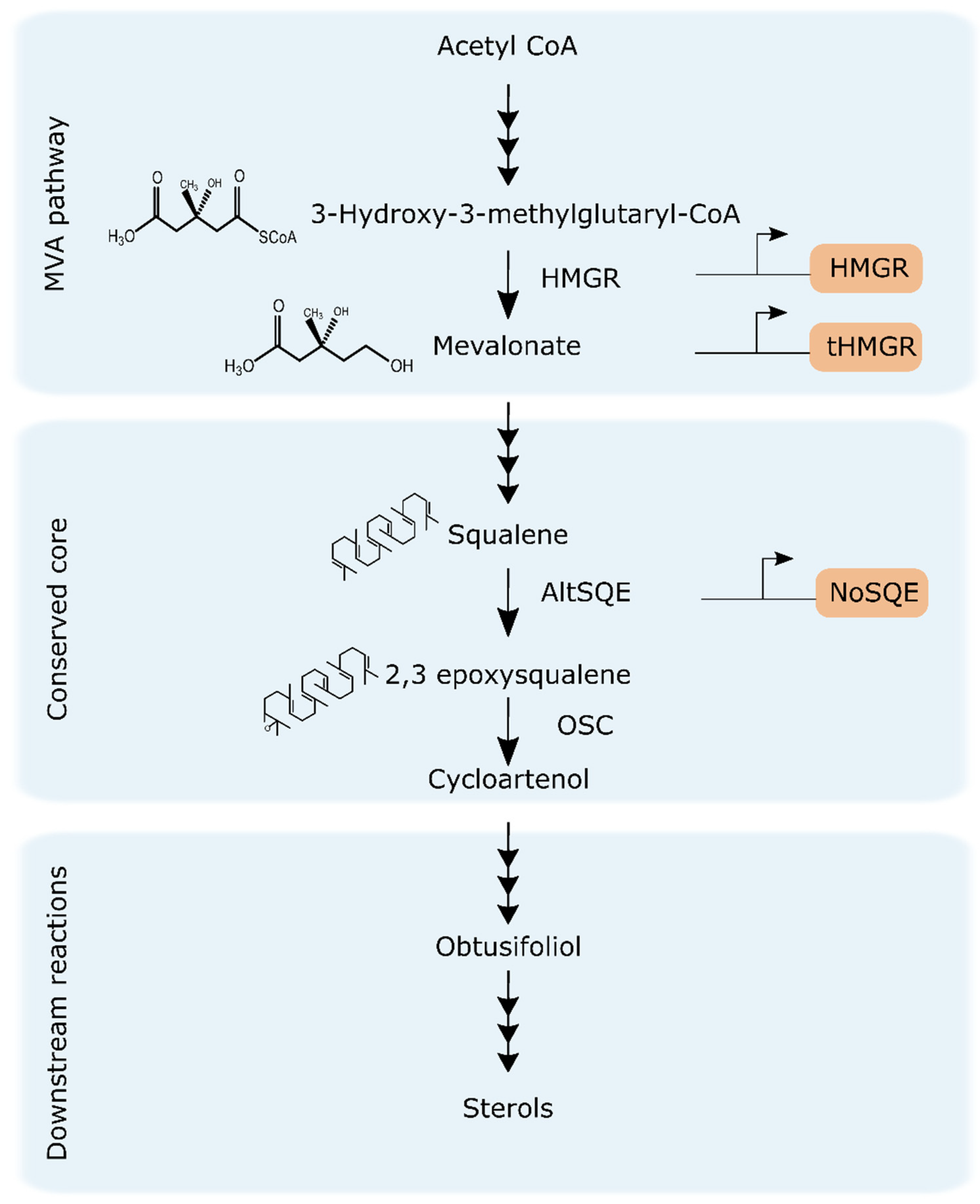 Pharmaceuticals 13 00481 g001