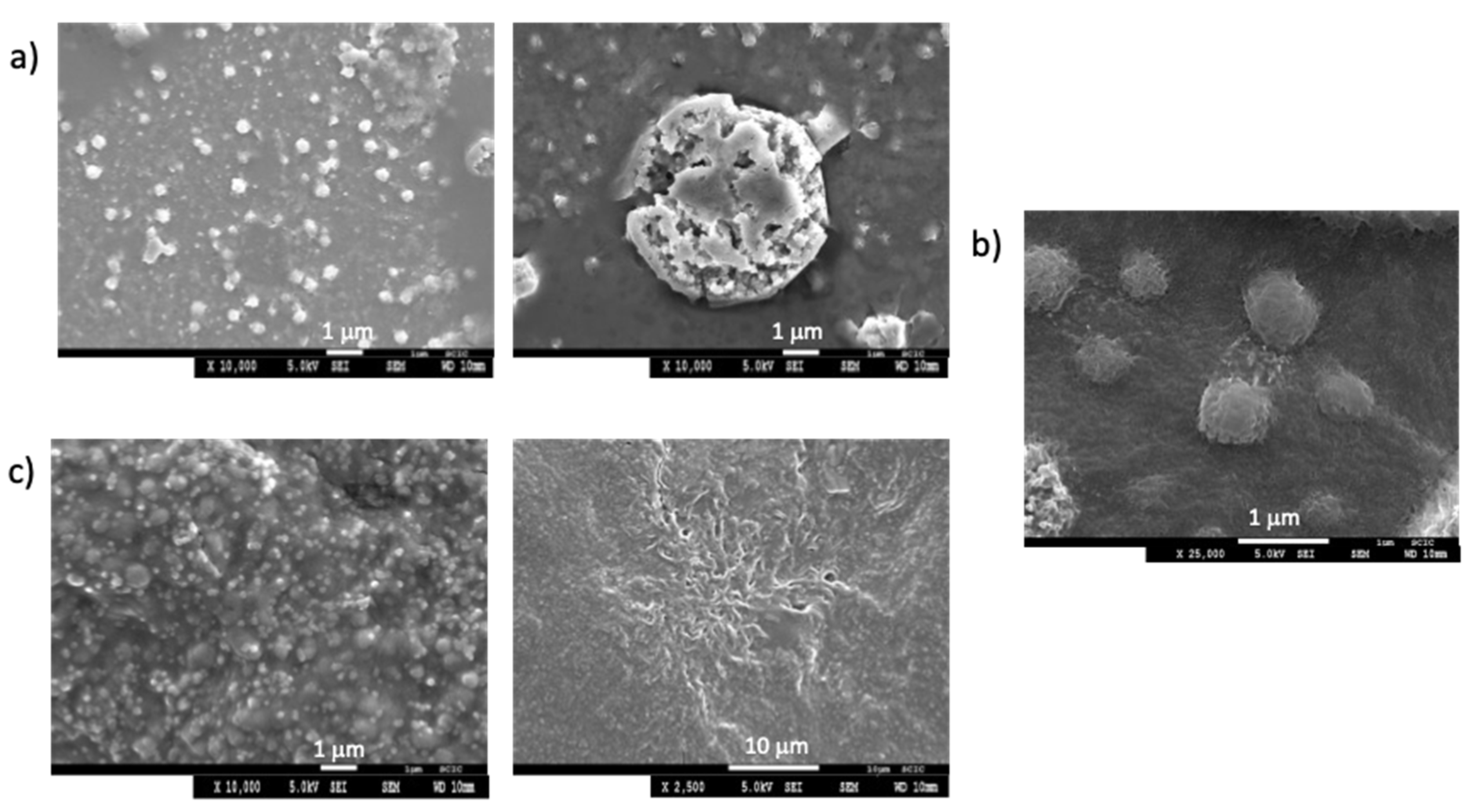 Pharmaceuticals 13 00482 g004