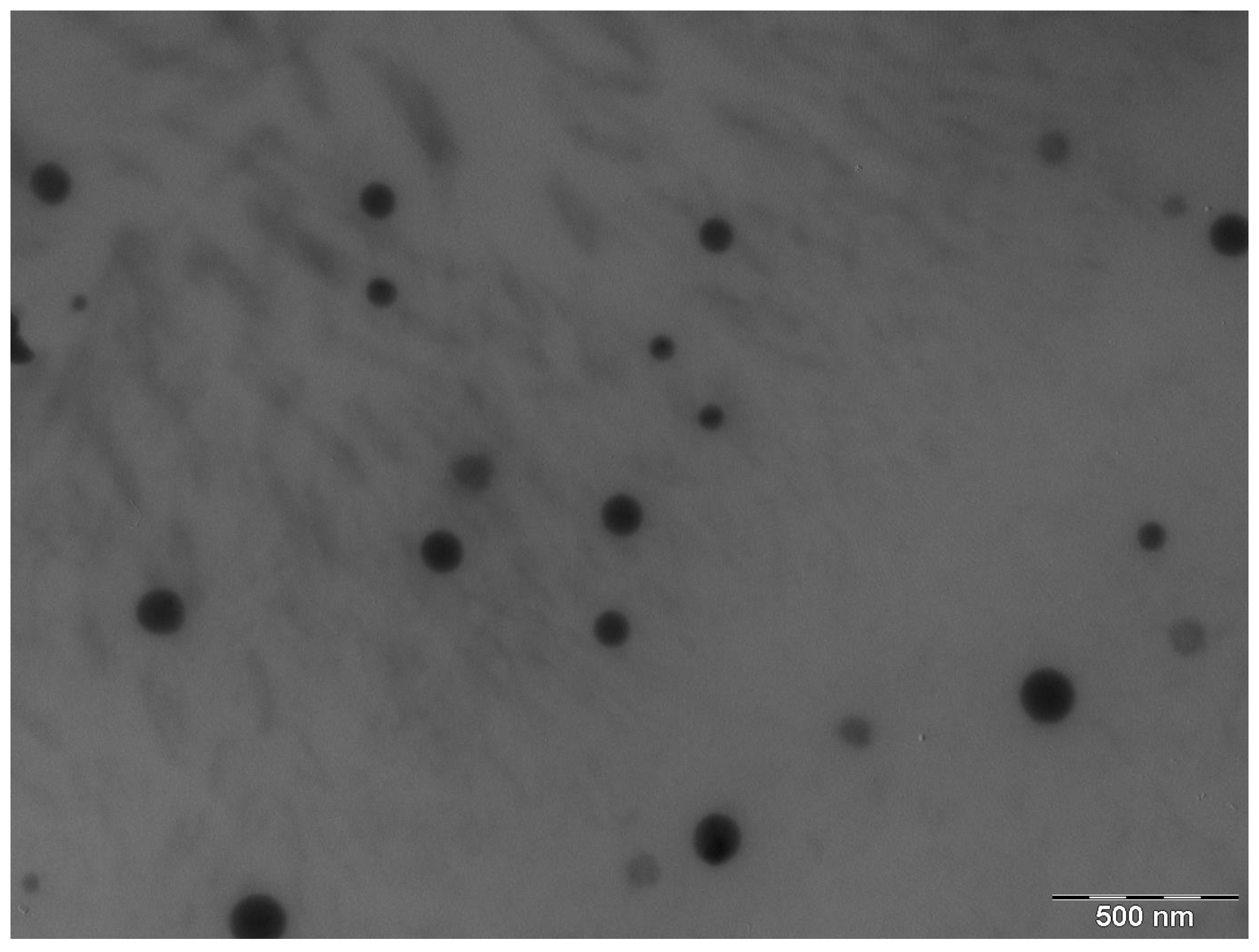 Pharmaceuticals 13 00484 g004