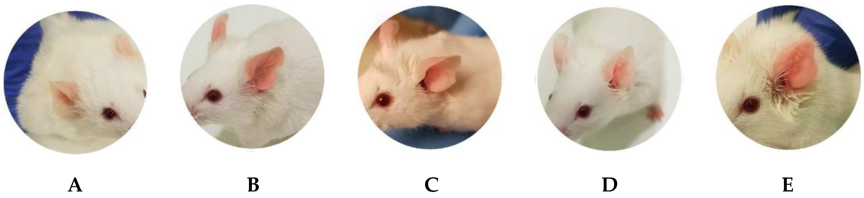 Pharmaceuticals 13 00484 g008