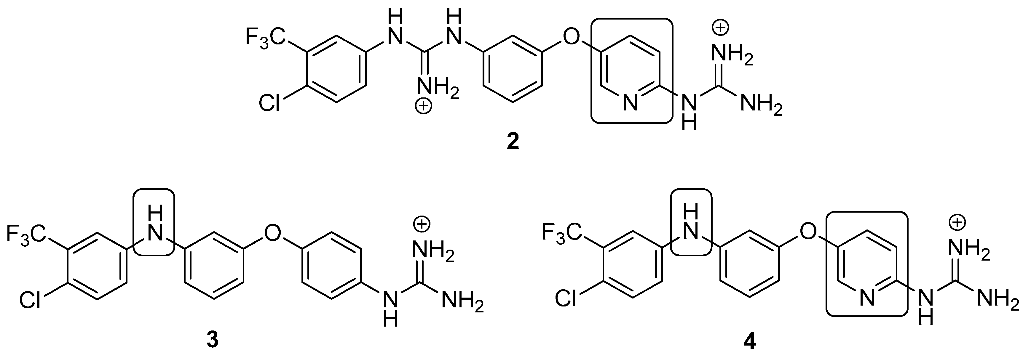 Pharmaceuticals 13 00485 g002